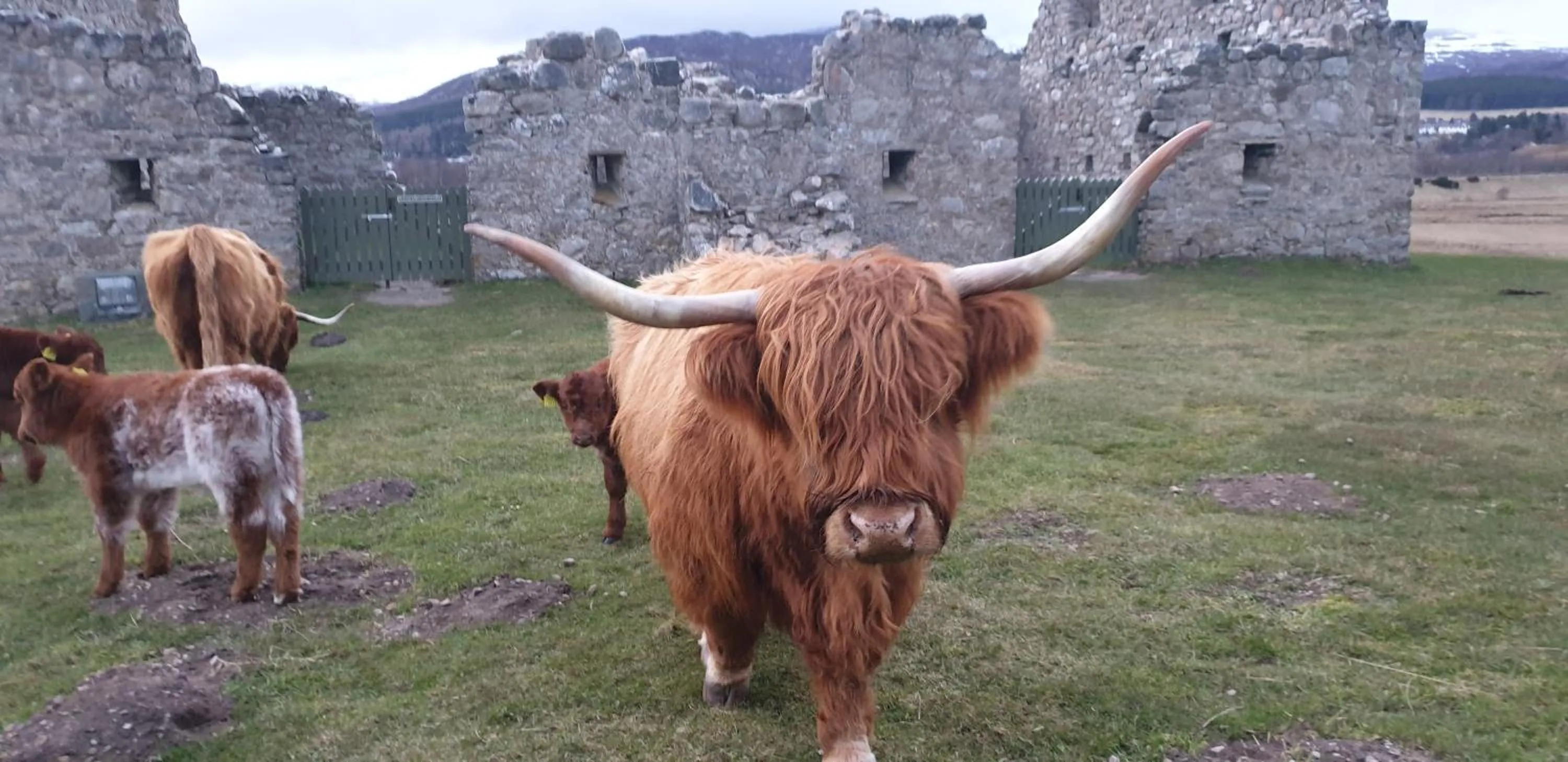 Neighbourhood in The Osprey Hotel