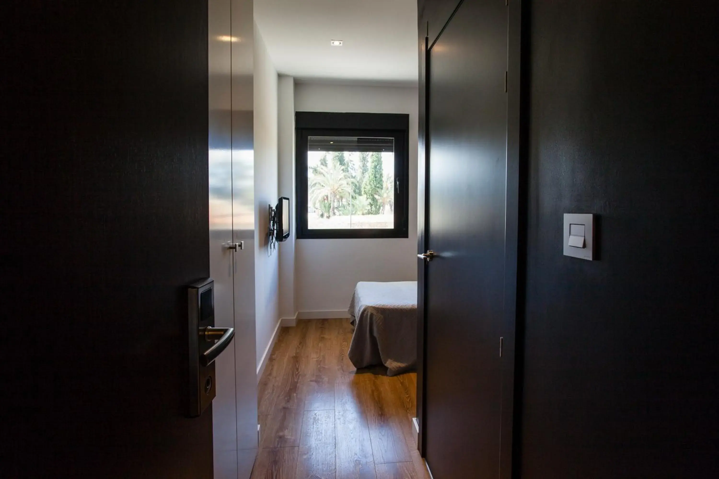 Single Room - single occupancy in HOTEL ALCAZAR Single Room - single occupancy in HOTEL ALCAZAR