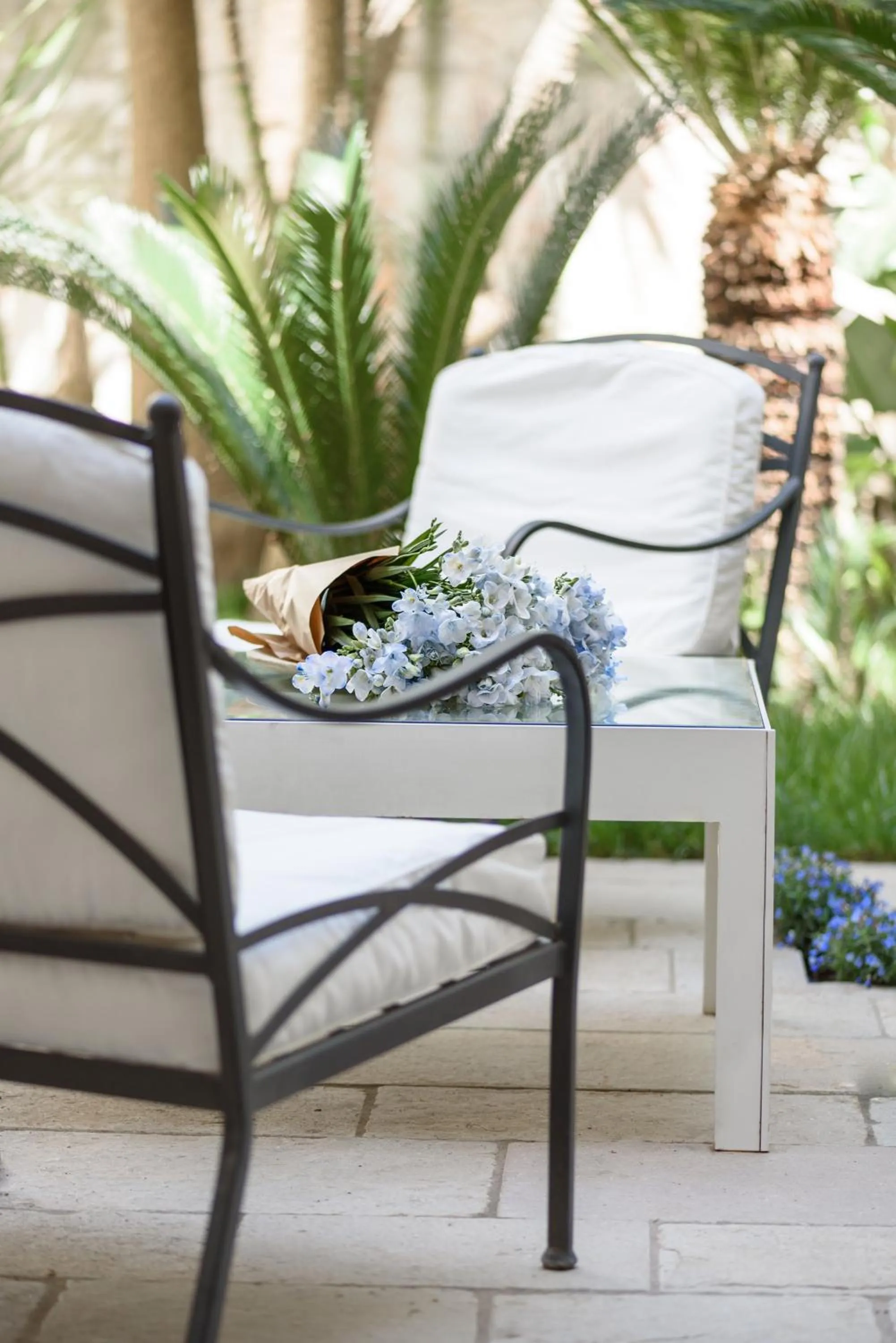 Garden in Palazzo Dei Dondoli