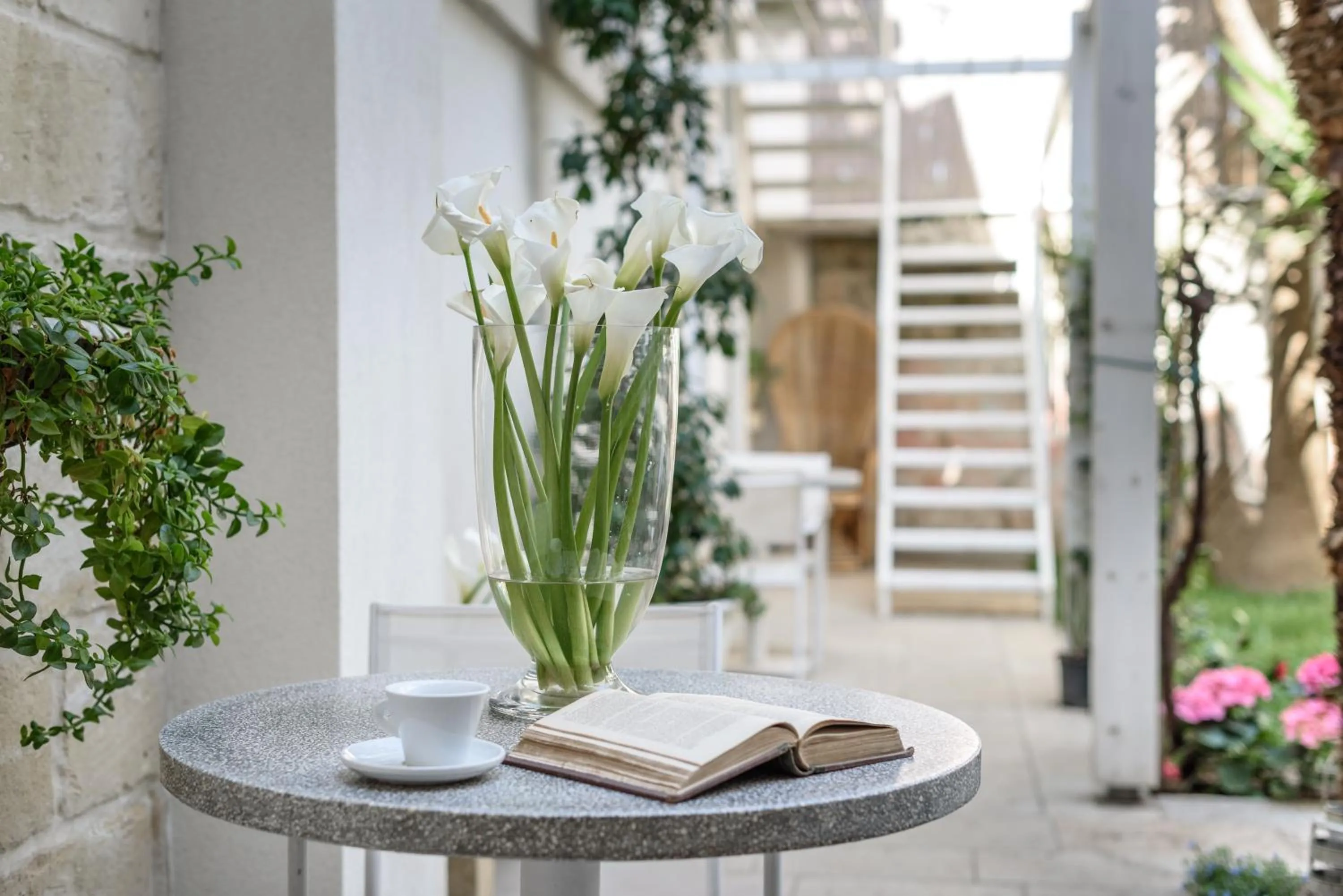 Garden in Palazzo Dei Dondoli