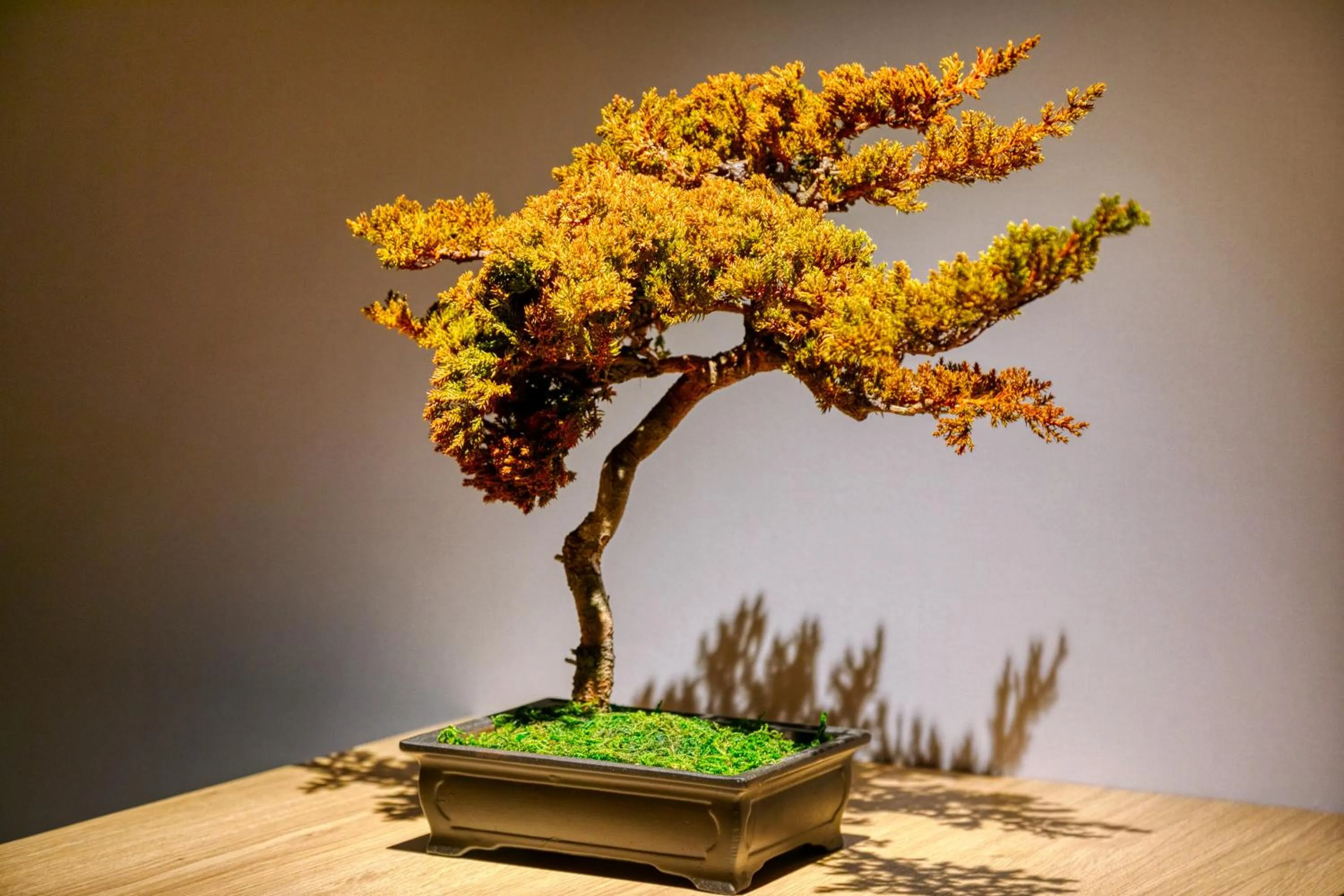 Hotel Lotus Koiwa (Adult Only)