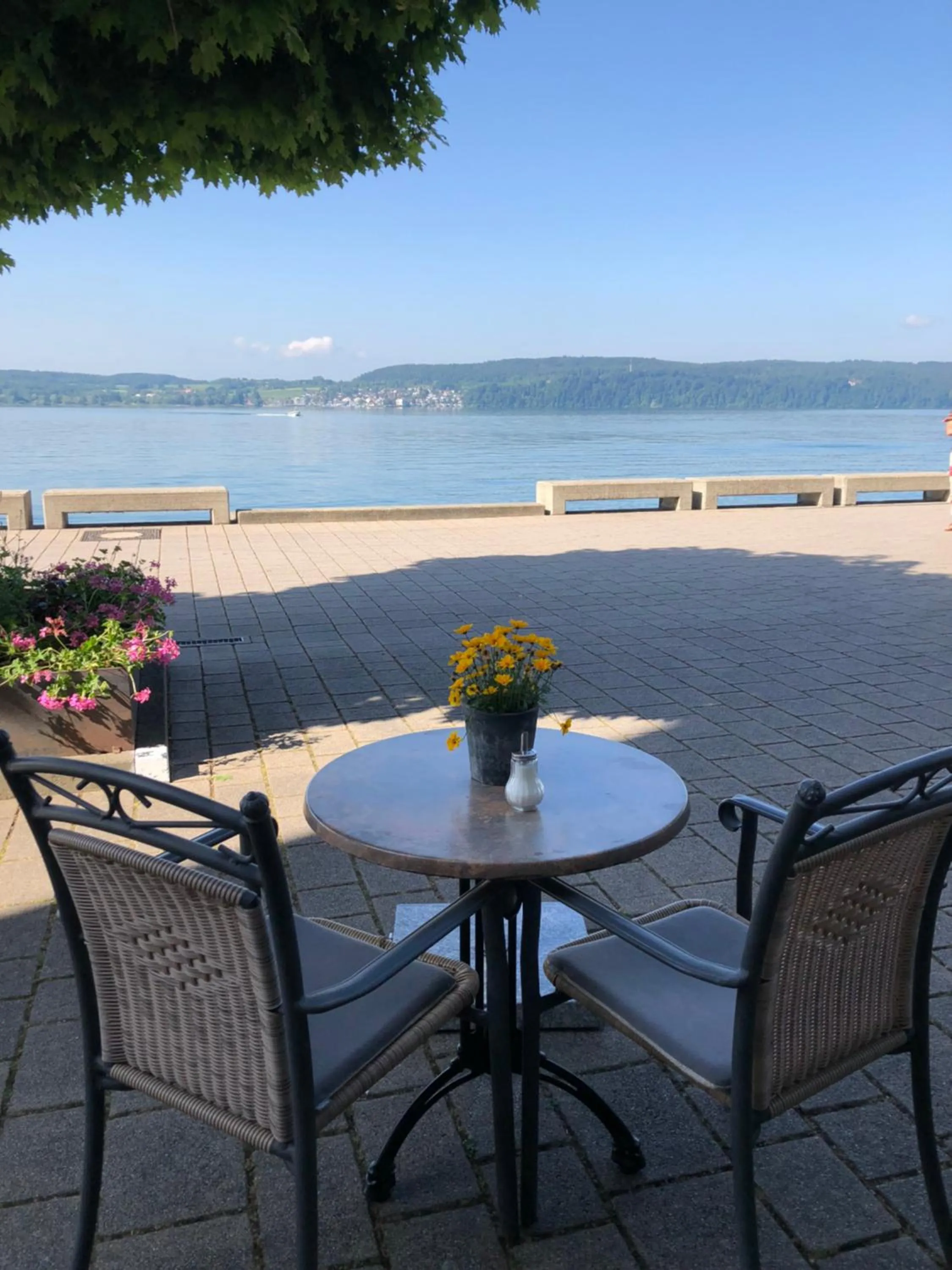 Single Room with Lake View in Hotel Seegarten