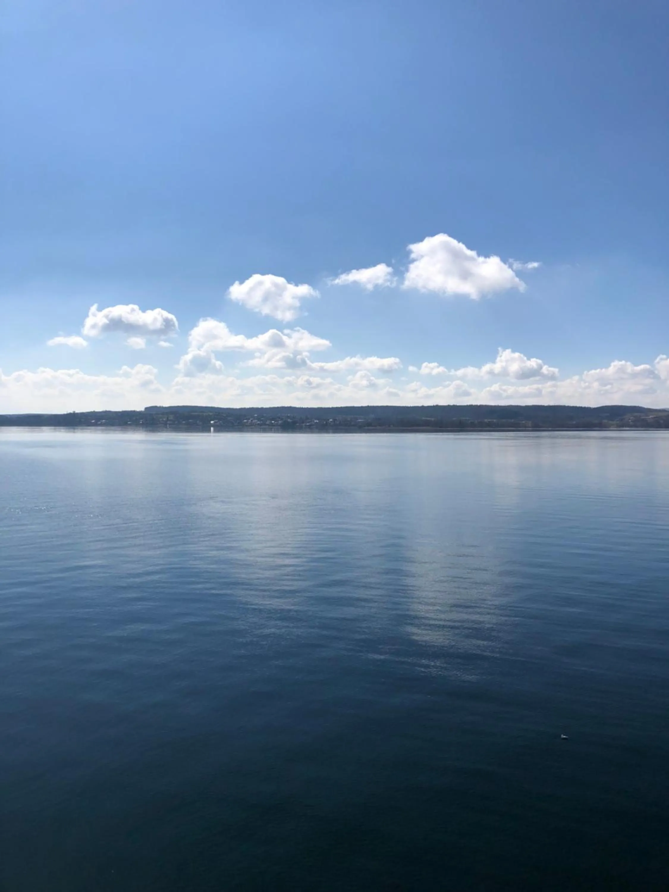 Double Room with view on the lake in Hotel Seegarten