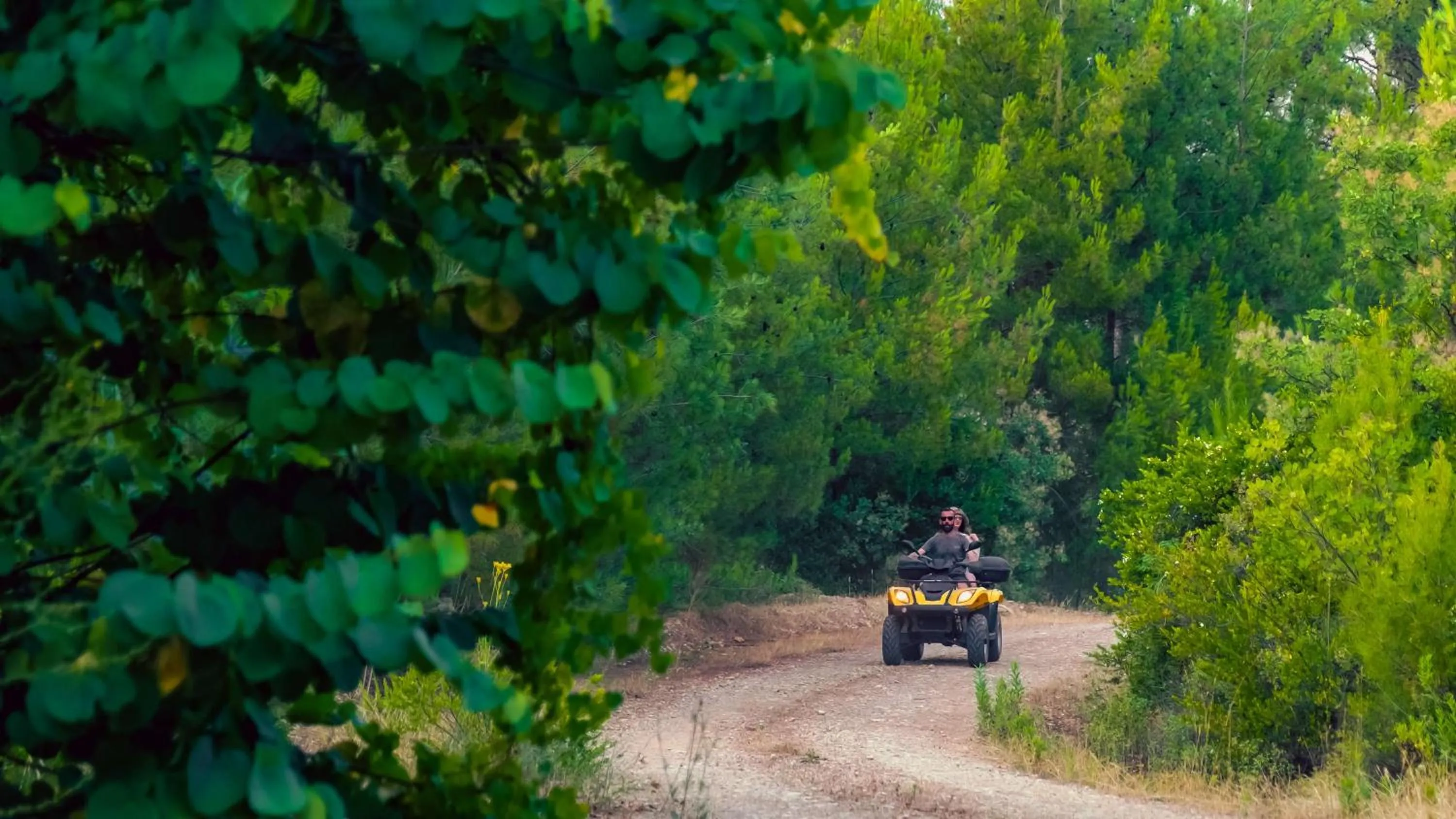 Activities in Botanik Göl Evleri