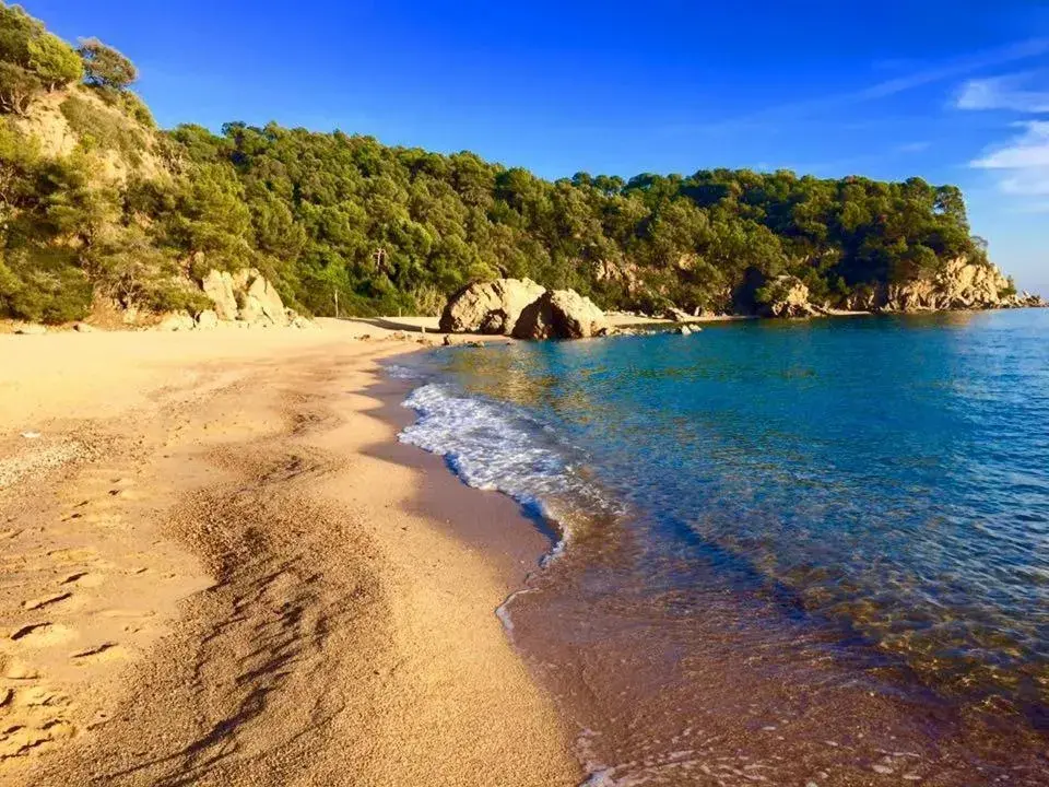 Private Apartments Cala Canyelles Private Apartments Cala Canyelles