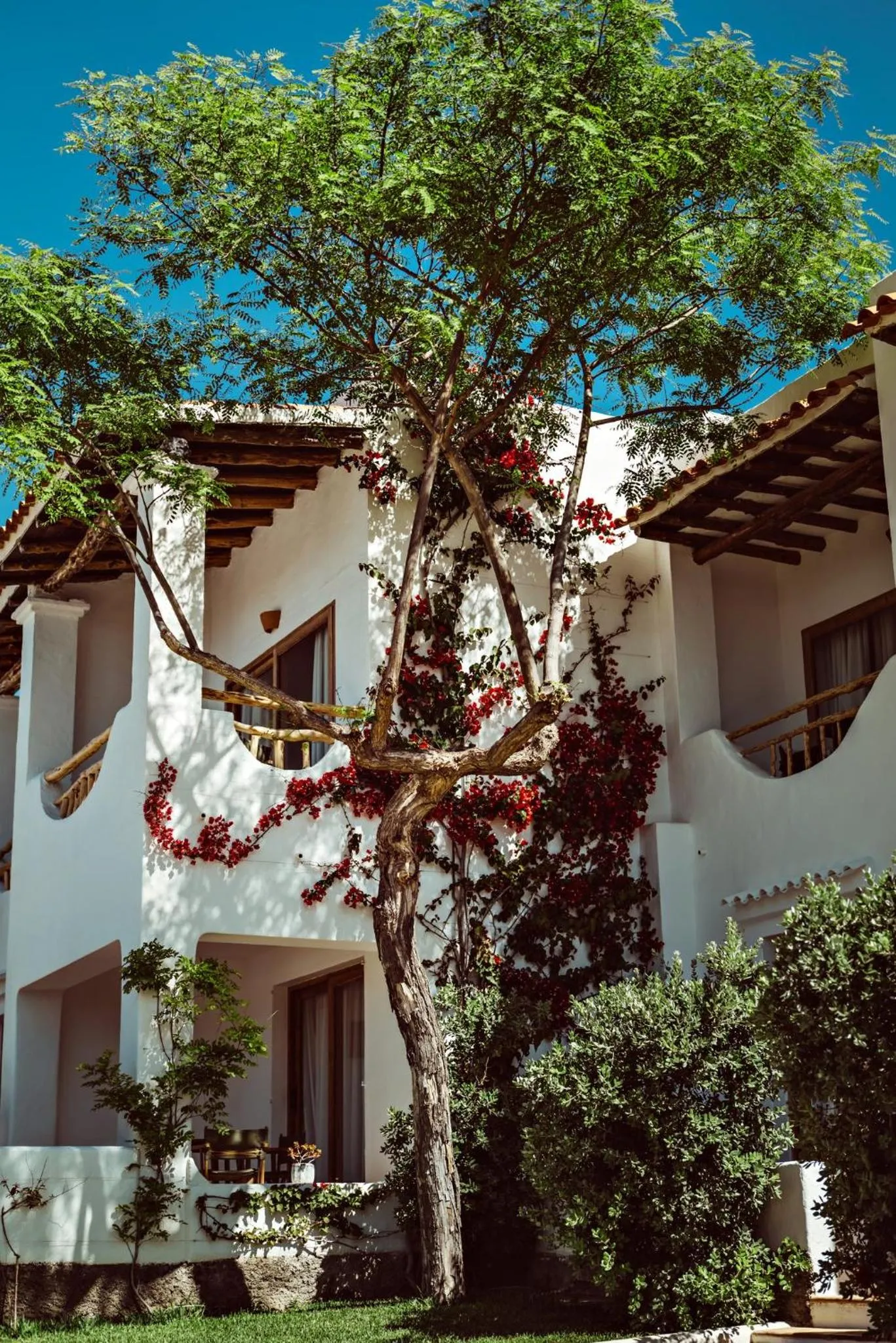 Property building in Petunia Ibiza, a Beaumier hotel