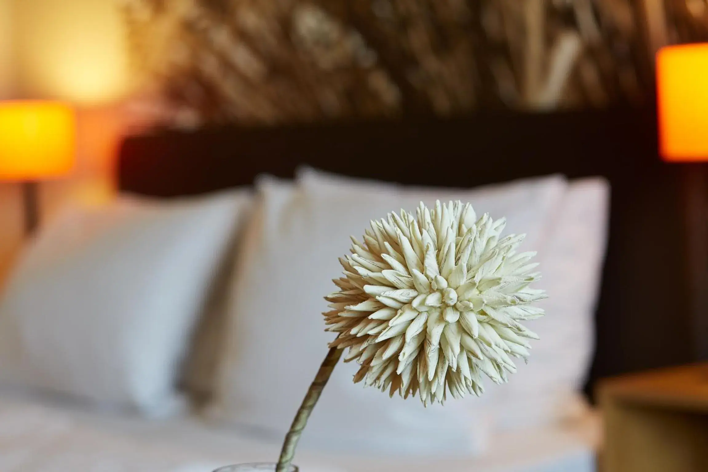 Double Room in Hotel & Restaurant Schröder Double Room in Hotel & Restaurant Schröder