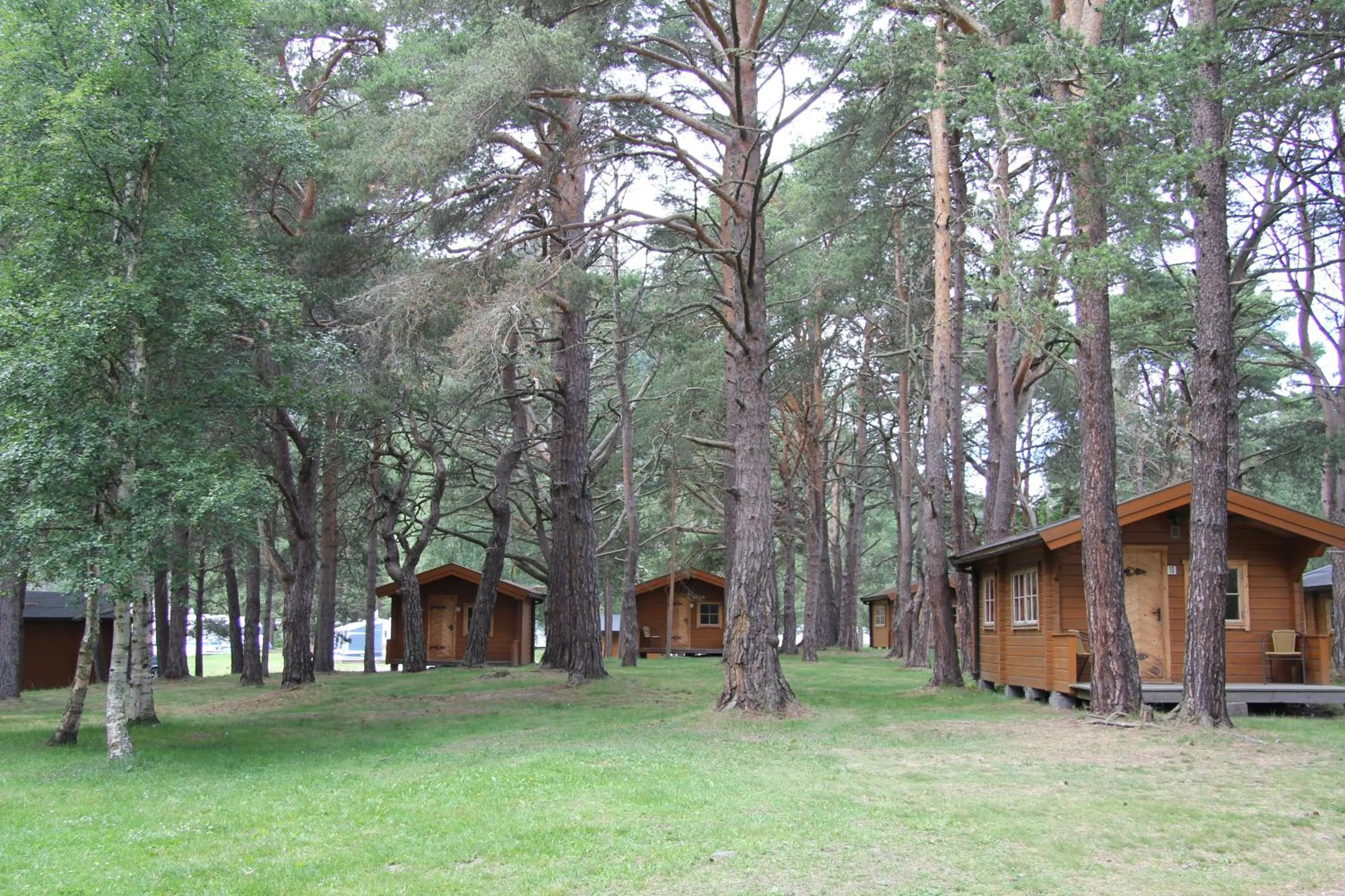 Patio in Toftemo Turiststasjon