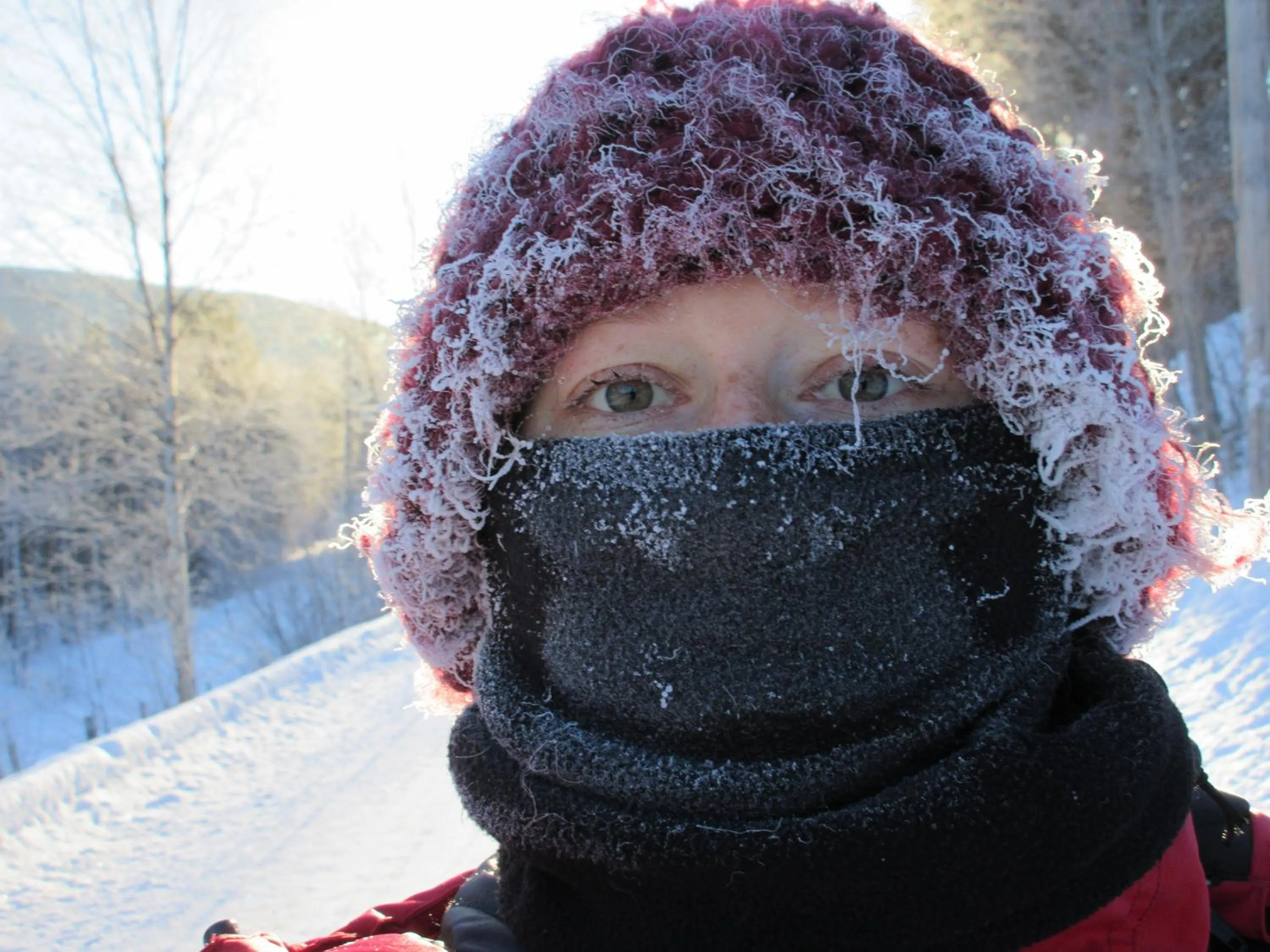 Staff in Toftemo Turiststasjon