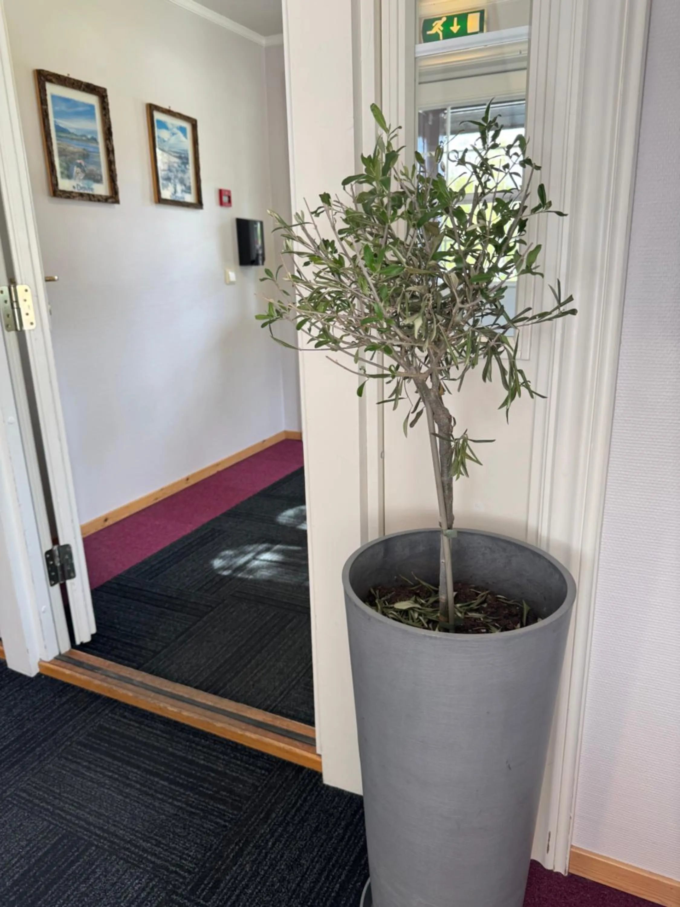 Toftemo Turiststasjon