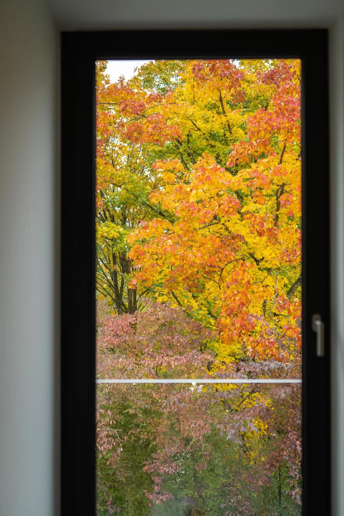 Day in Toploft Serviced Apartments