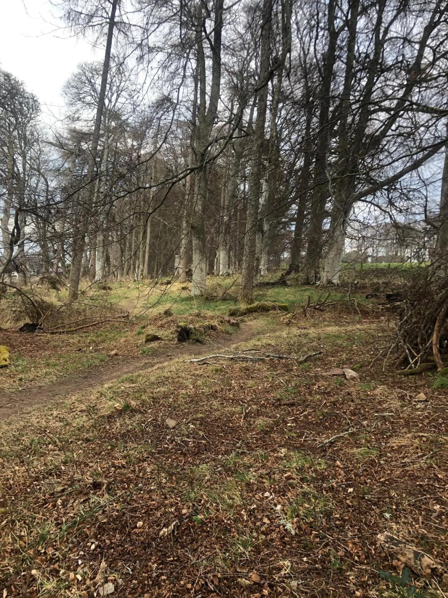 Natural landscape in Appin Apartment