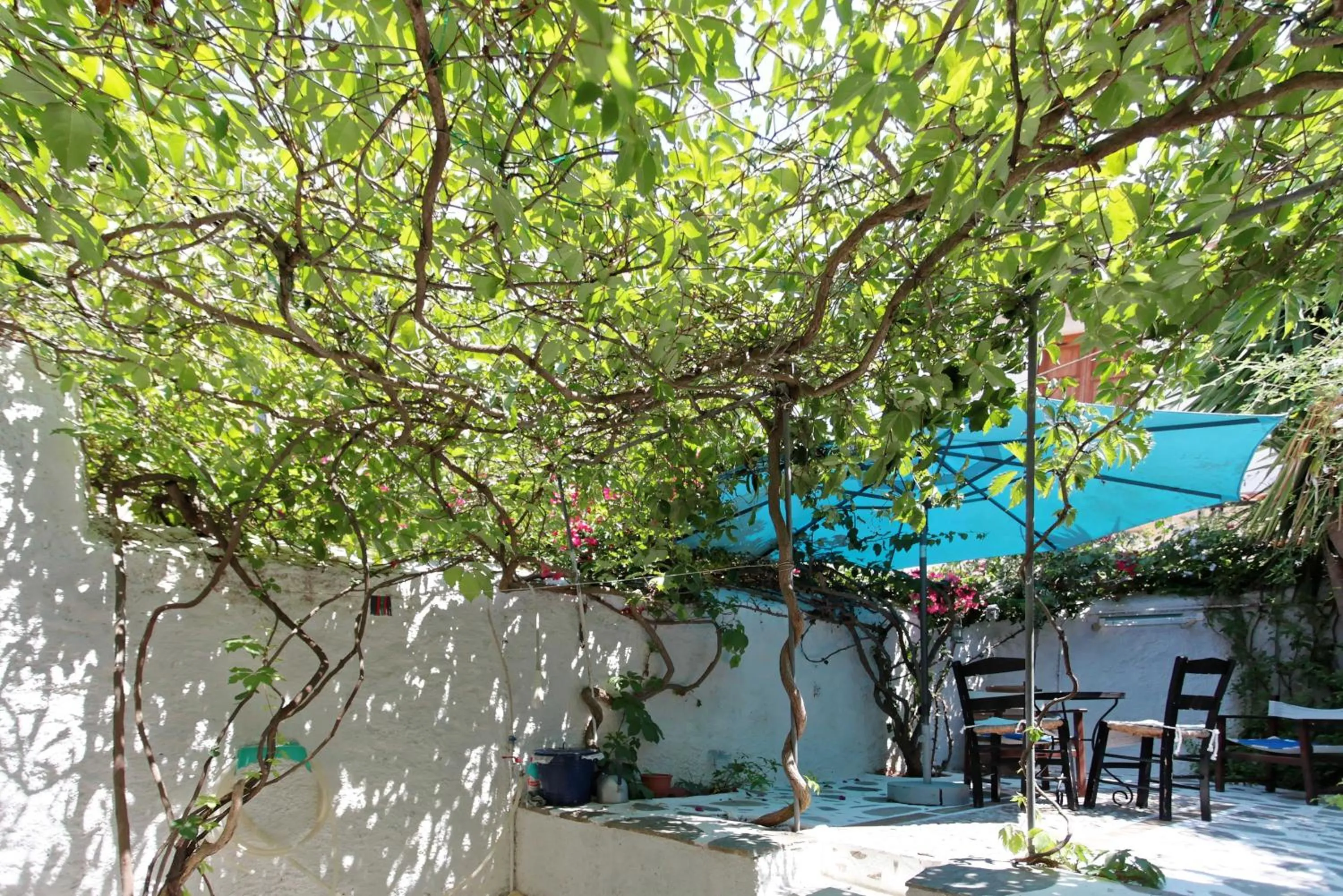 Patio in To Spitaki Apartments