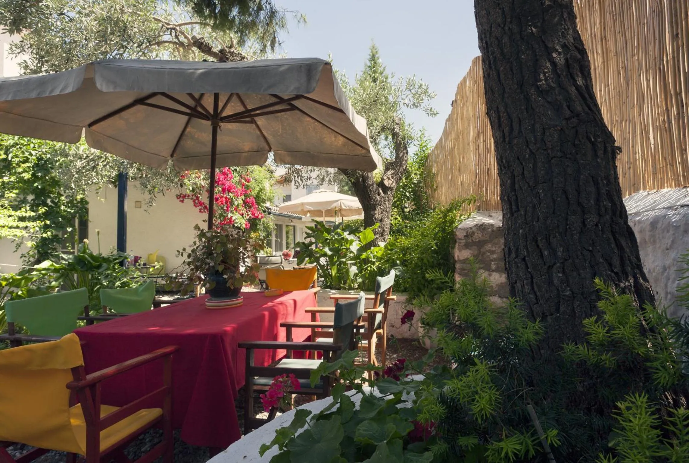 Garden in To Spitaki Apartments