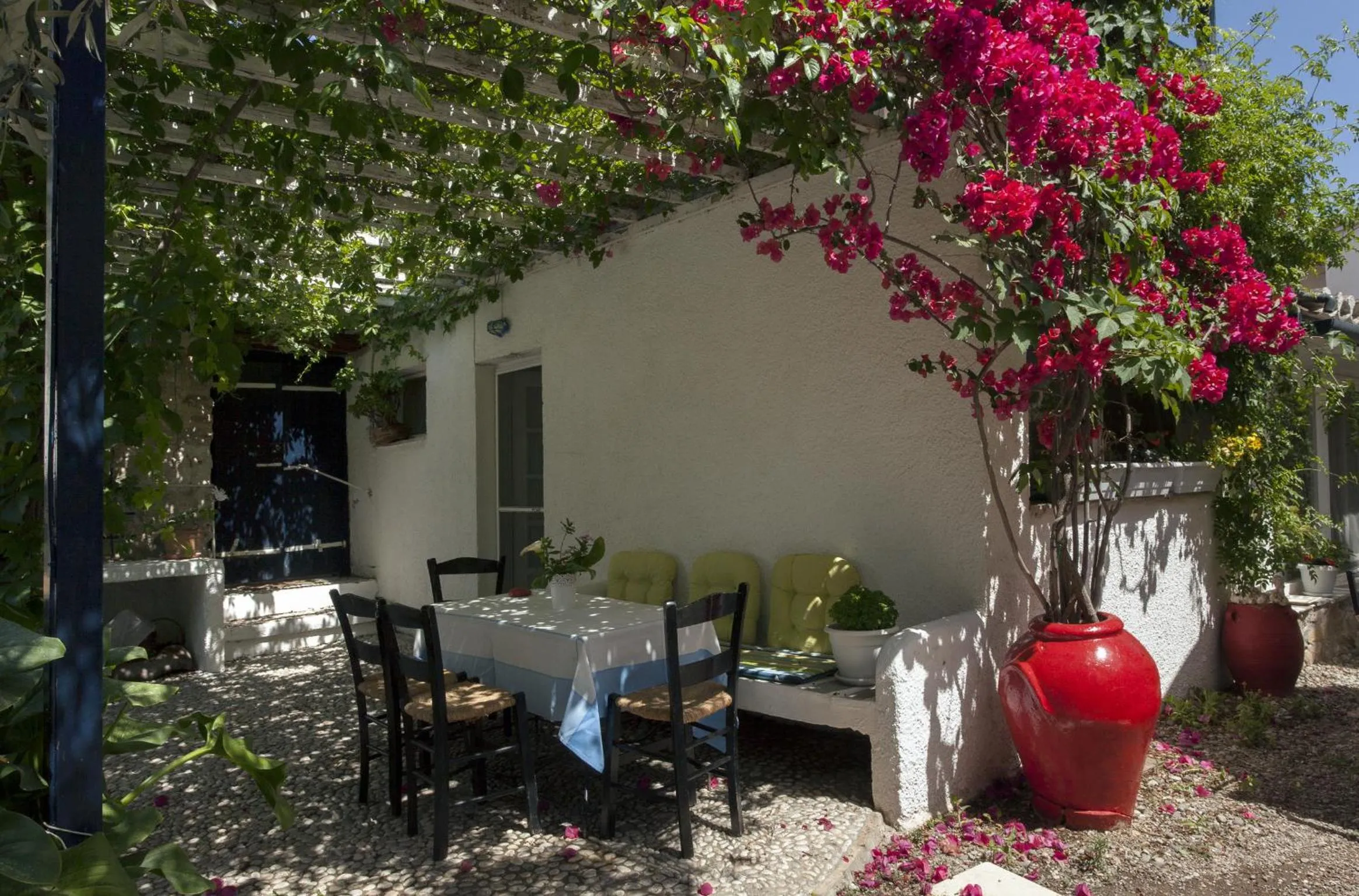 Garden in To Spitaki Apartments
