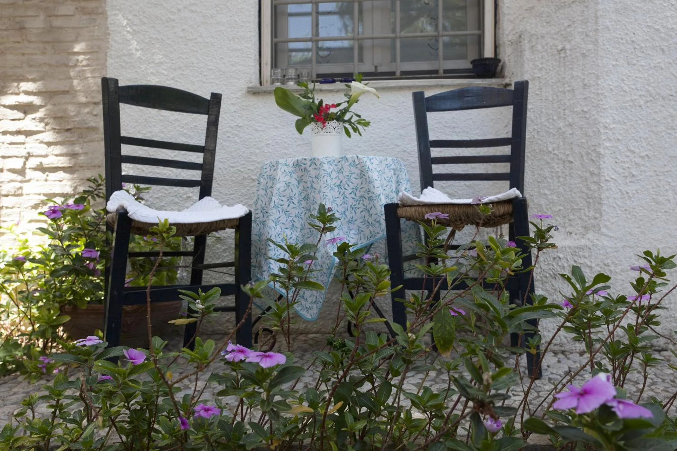 Garden in To Spitaki Apartments