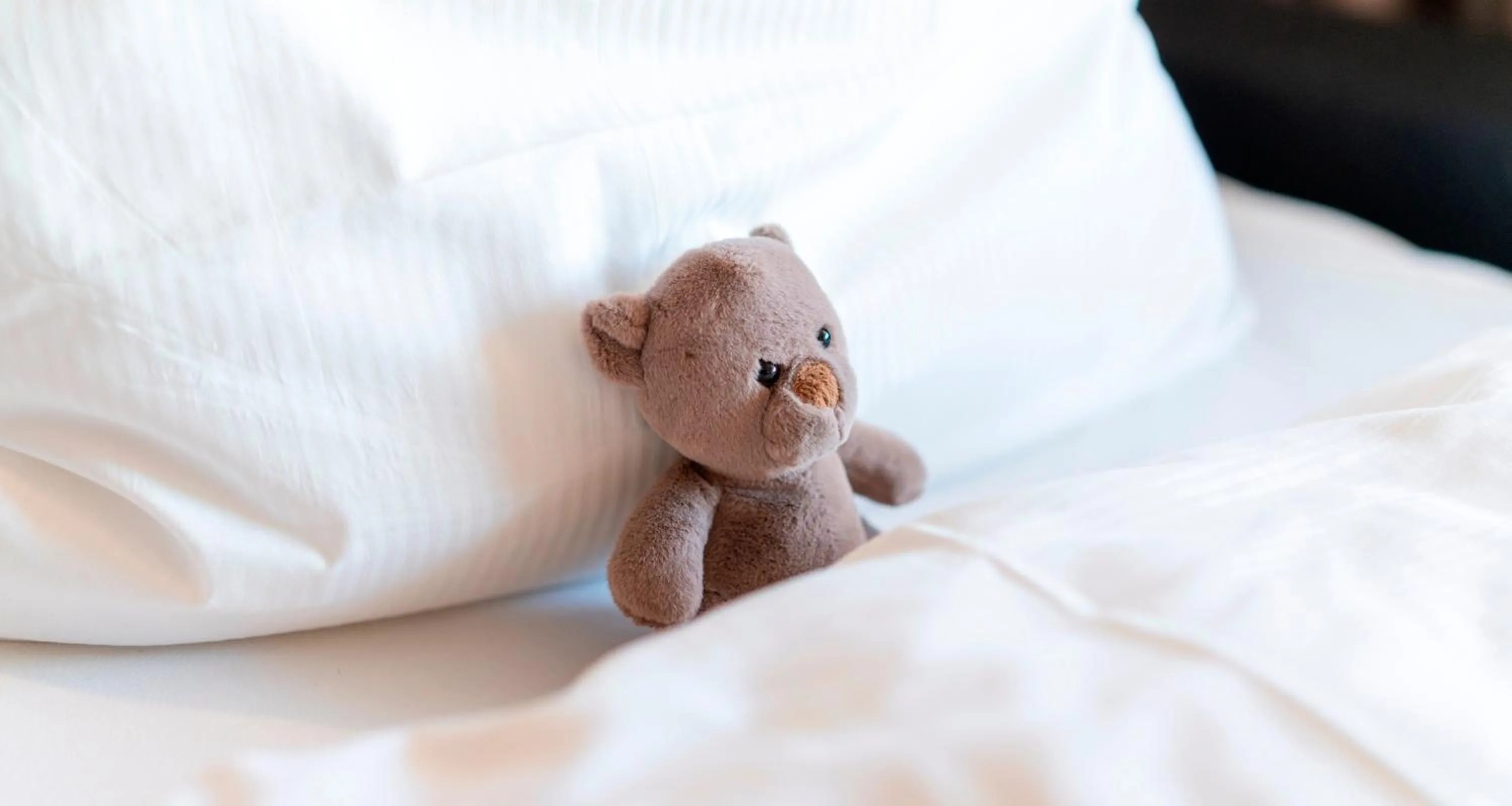 Decorative detail, Bed in PLAZA Hotel Föhr am Bodensee