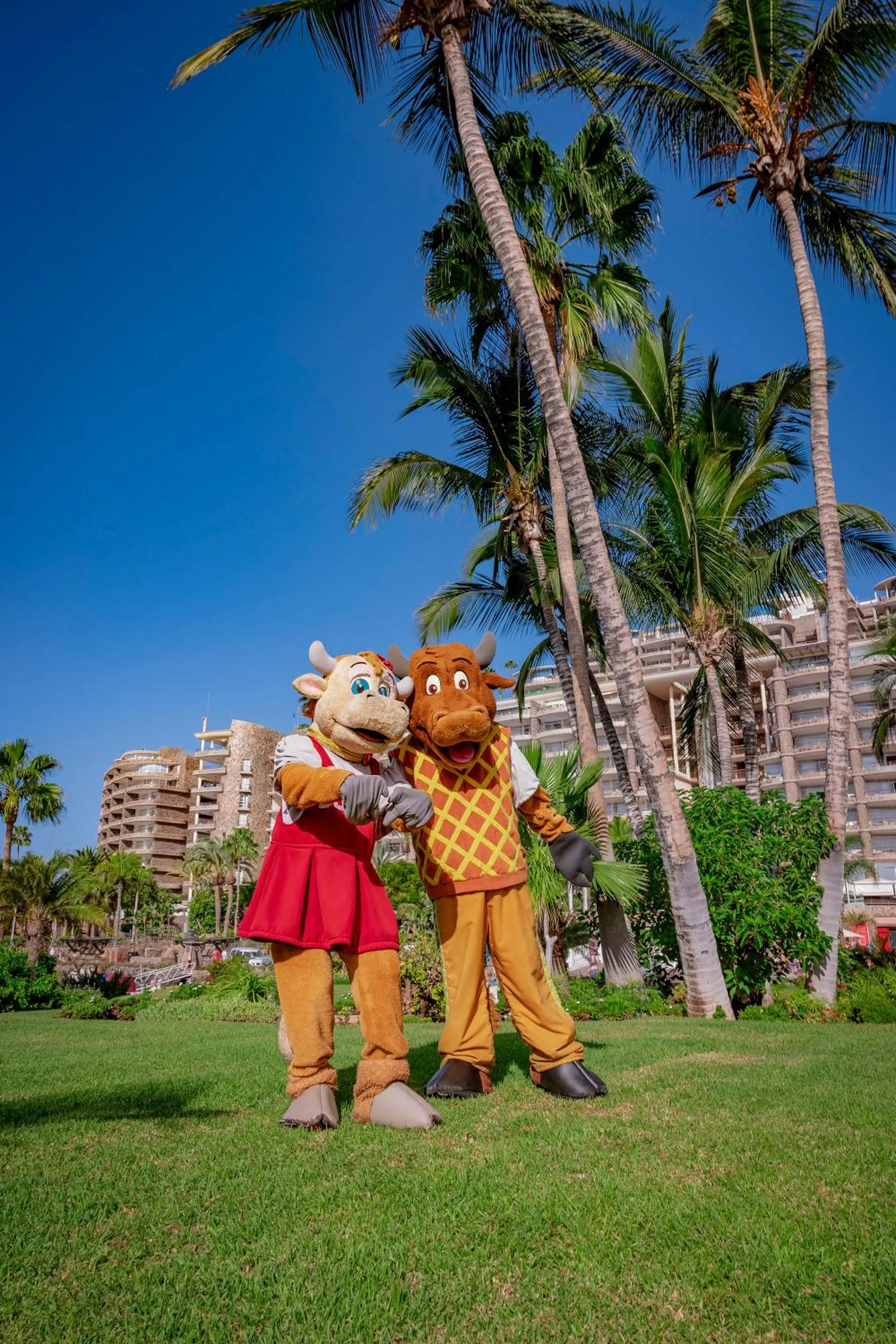 Pets in Anfi del Mar 1