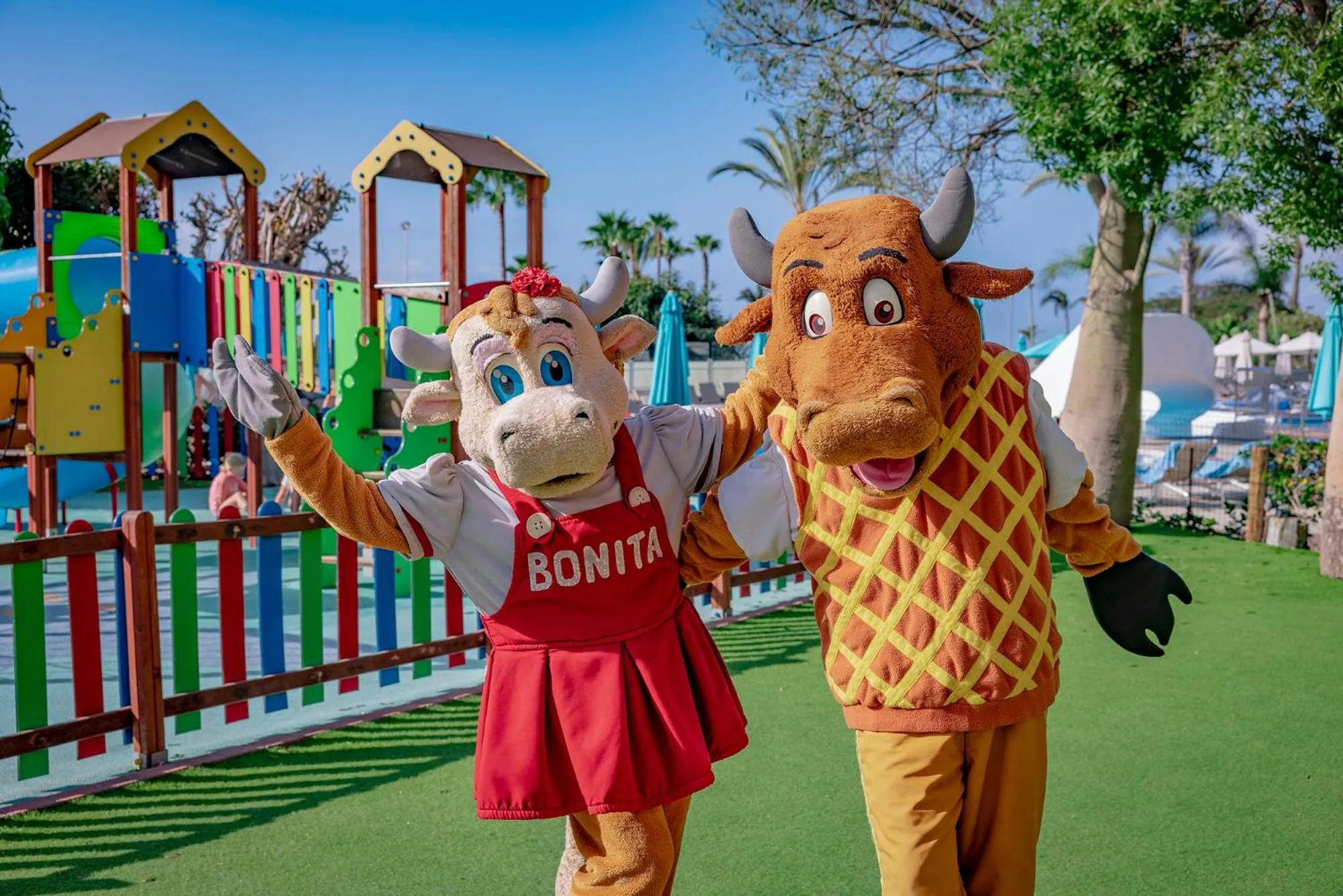 Pets in Anfi del Mar 1