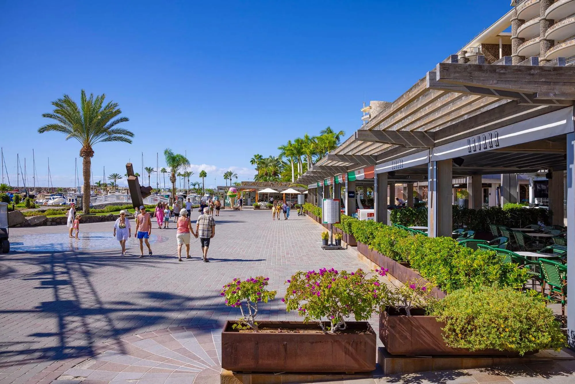 Restaurant/places to eat in Anfi del Mar 2