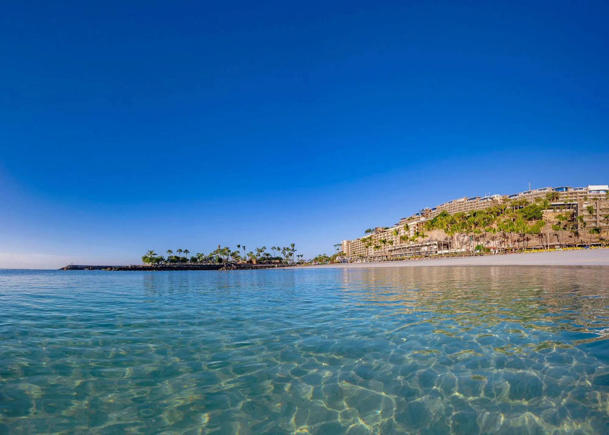 Beach in Anfi del Mar 2