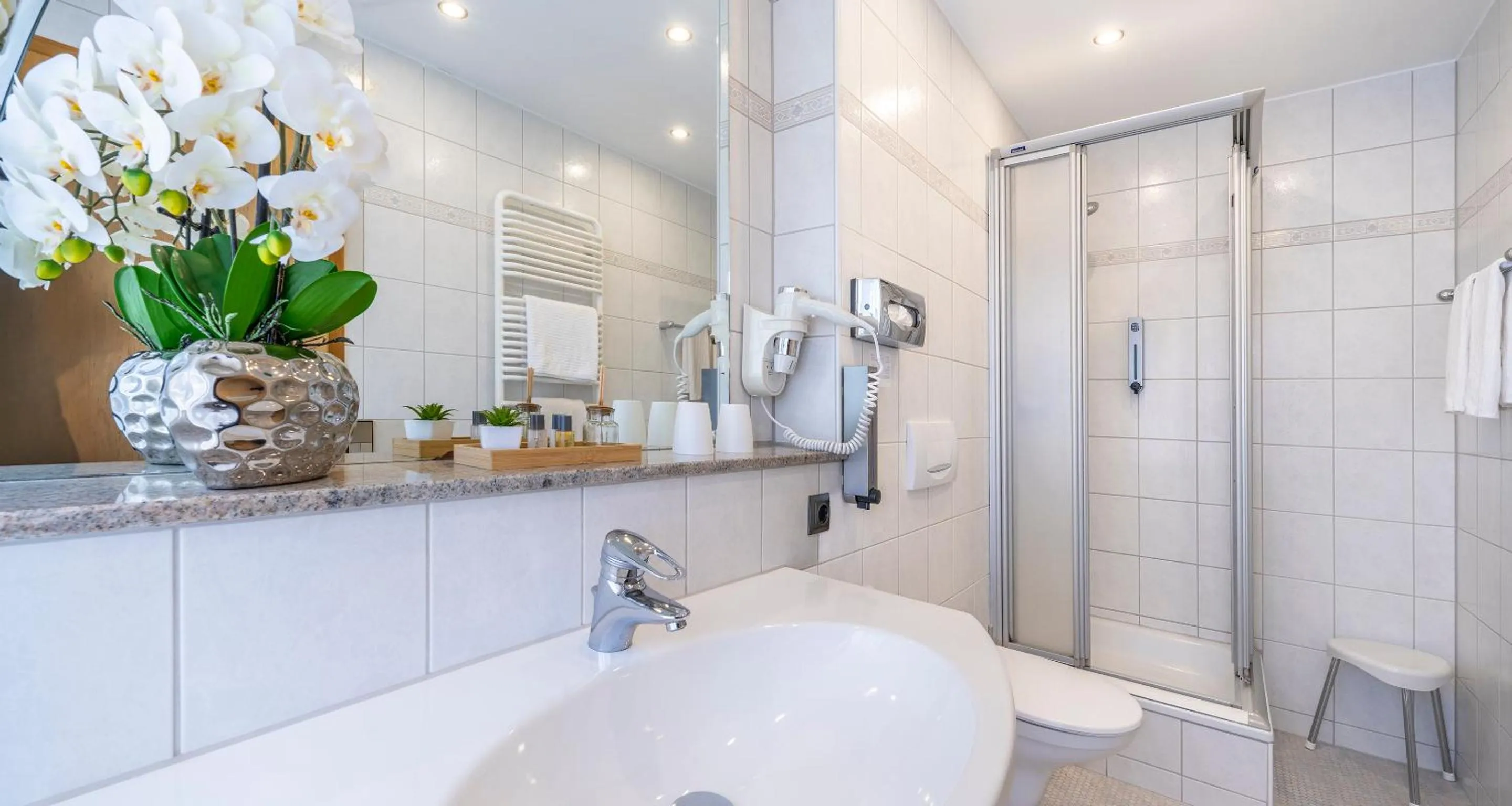 Shower in PLAZA Hotel Buchhorner Hof