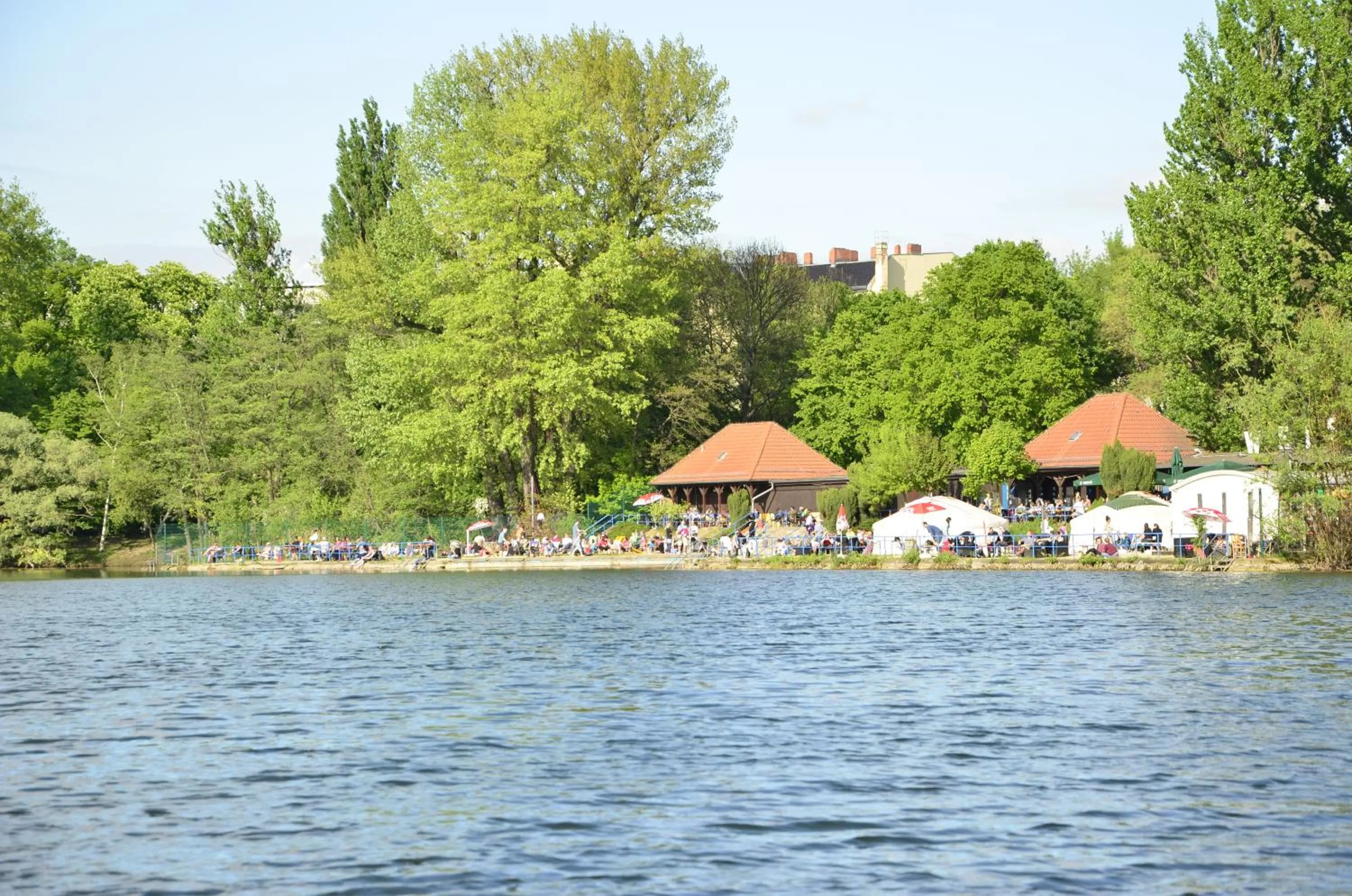 Area and facilities in Hotel Albertin