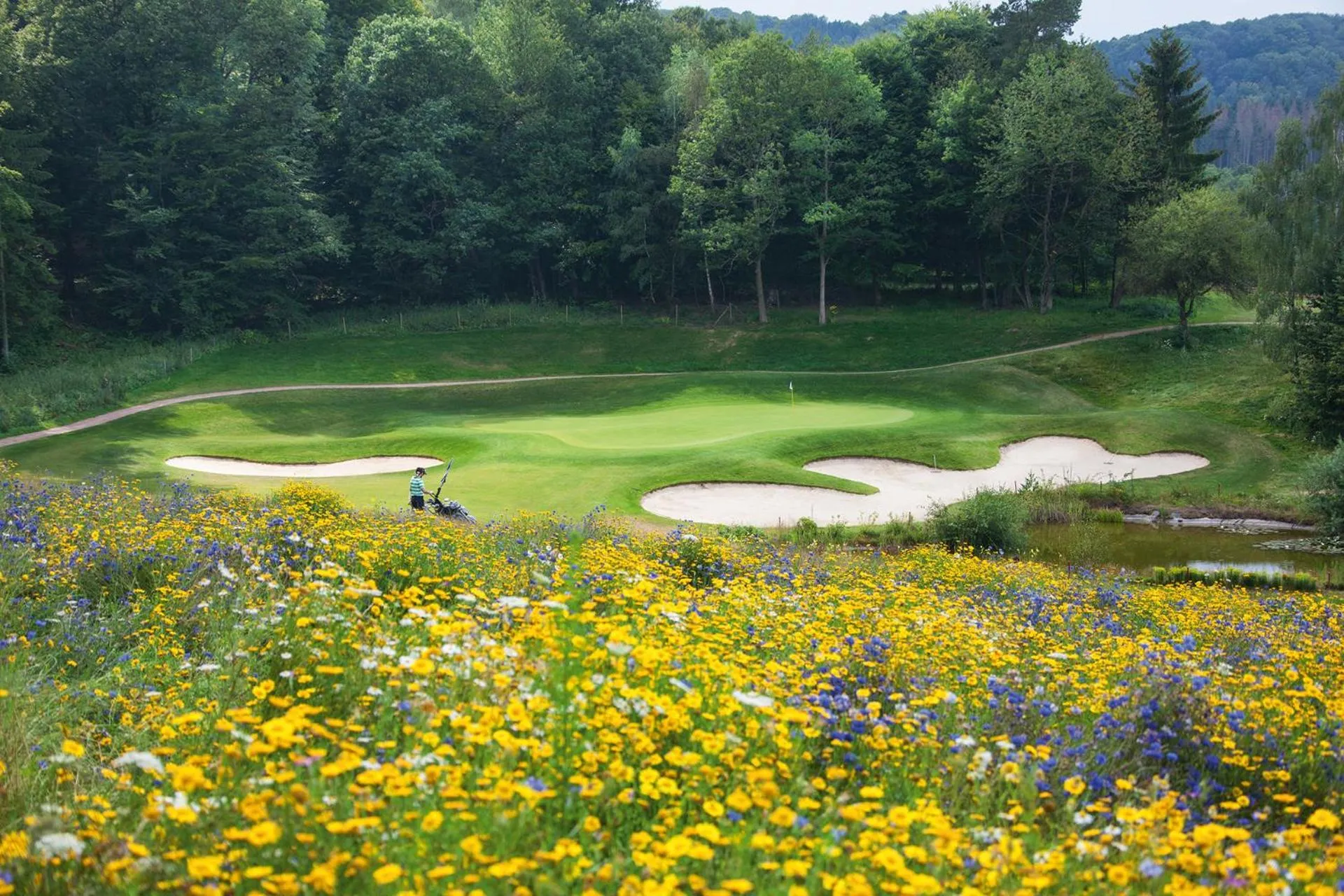 Natural landscape in Hotel Weiherhof am Golfpark