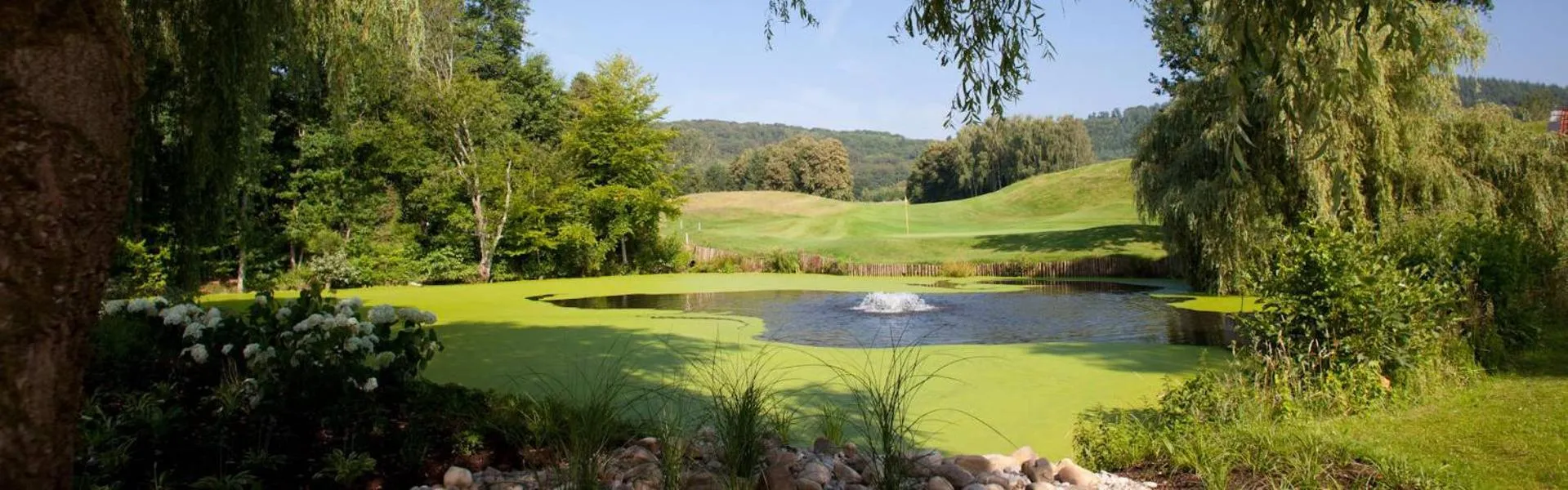 Natural landscape in Hotel Weiherhof am Golfpark