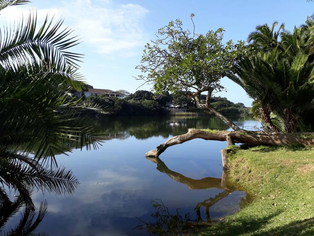Natural landscape in Claridges 304