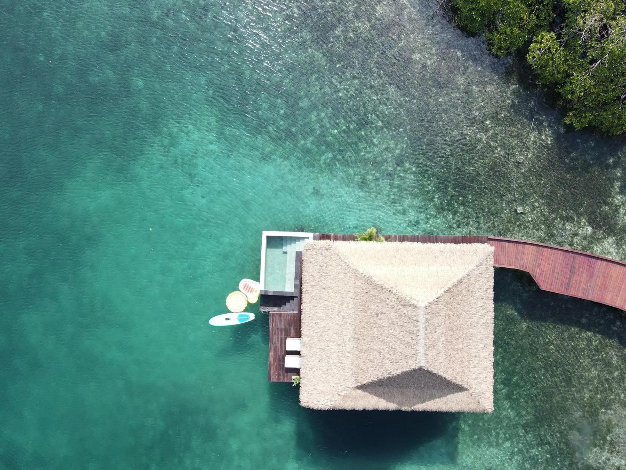 Guests in Nayara Bocas del Toro
