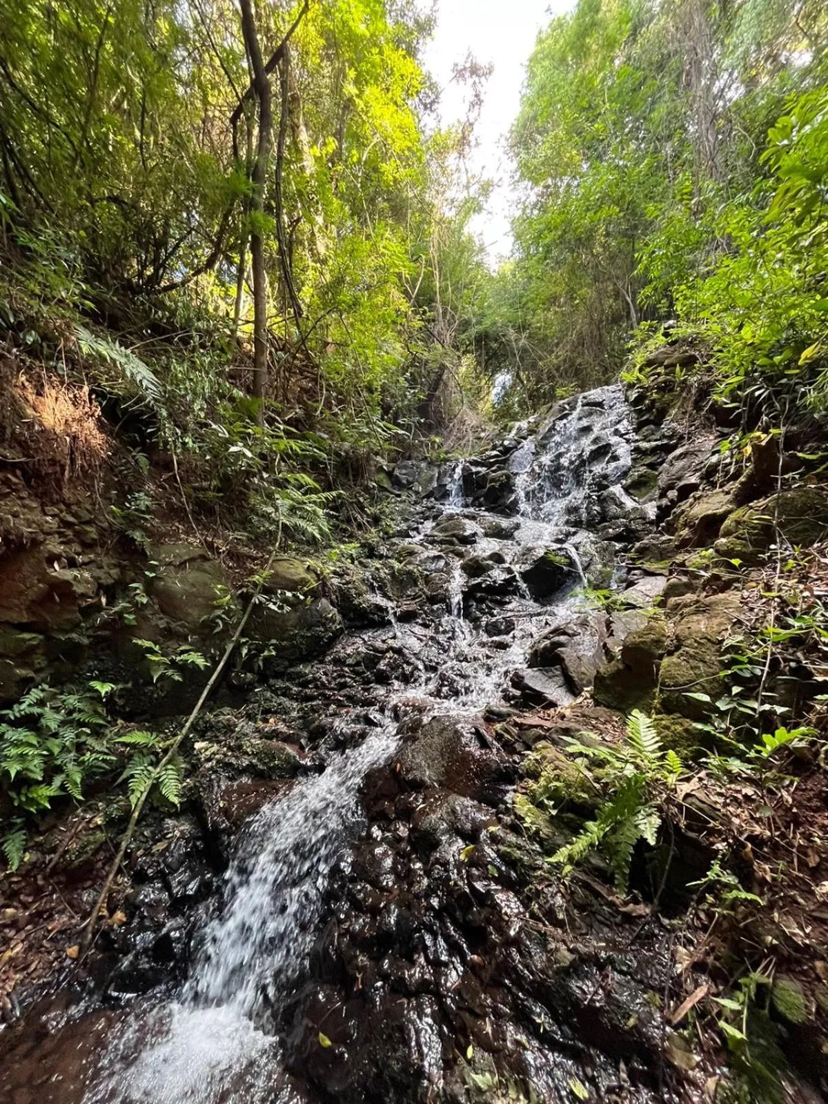 Natural landscape in Hotel Fazenda Vale Alvorada