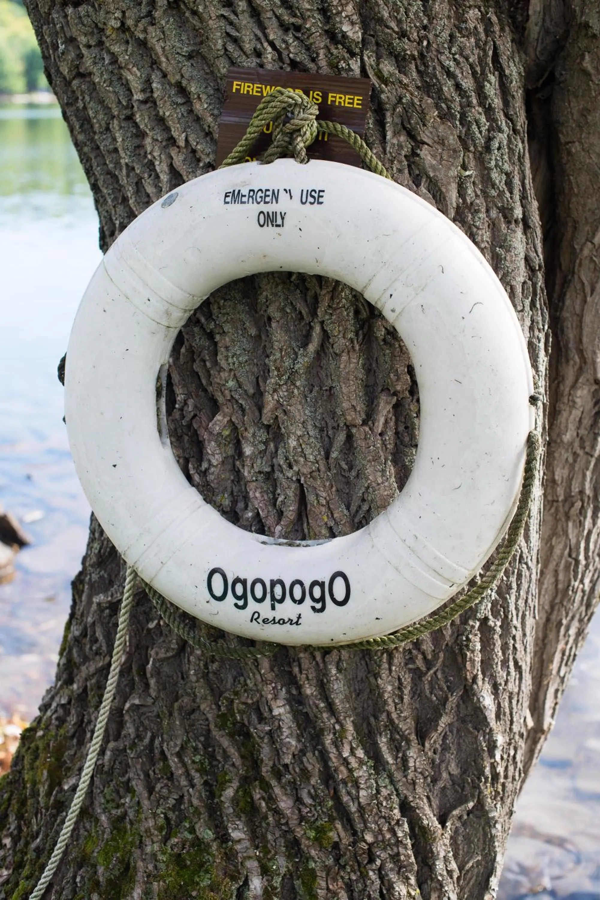 Sports in Ogopogo Resort