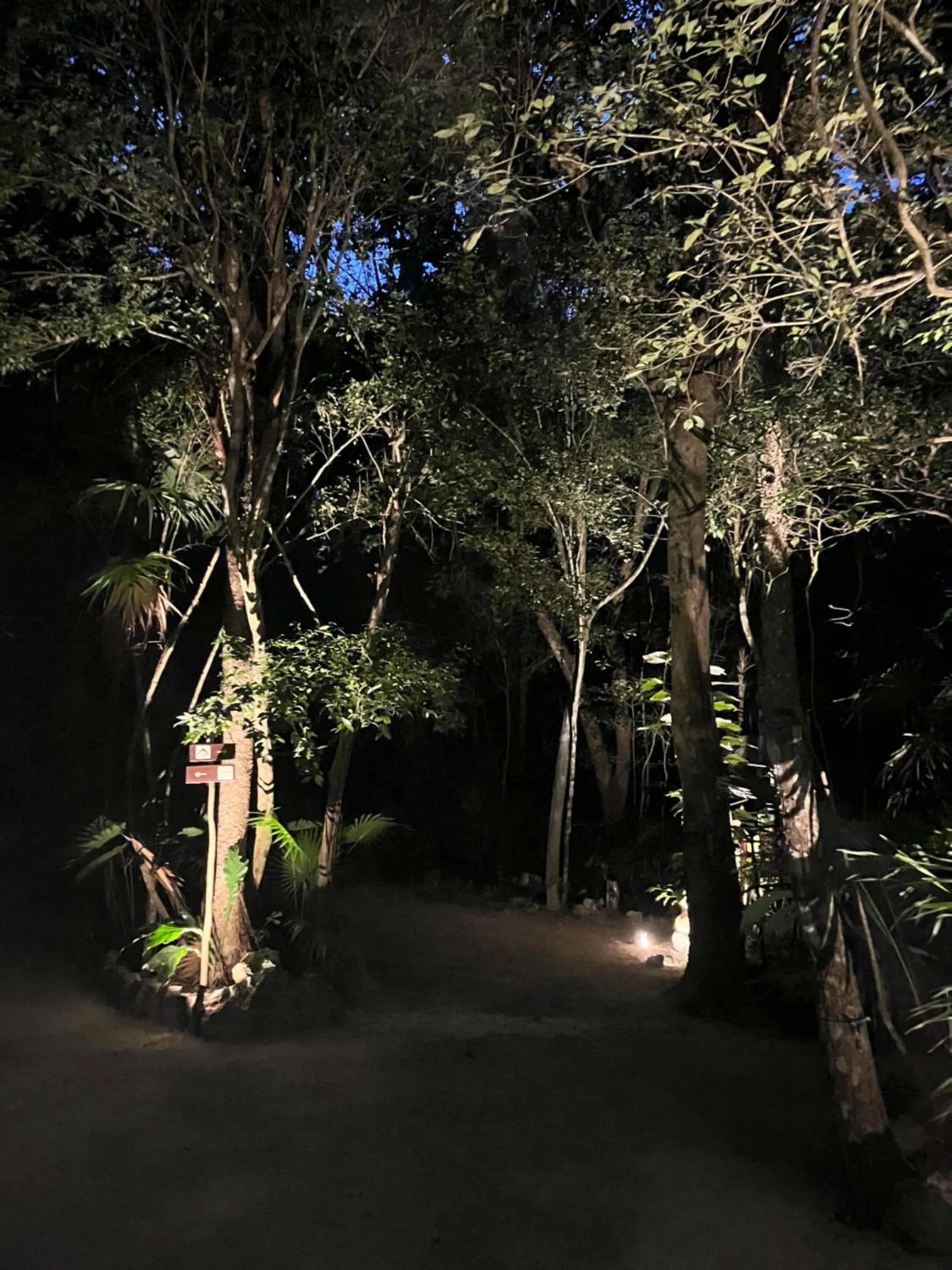 Night in Glamping Mama Loo mm