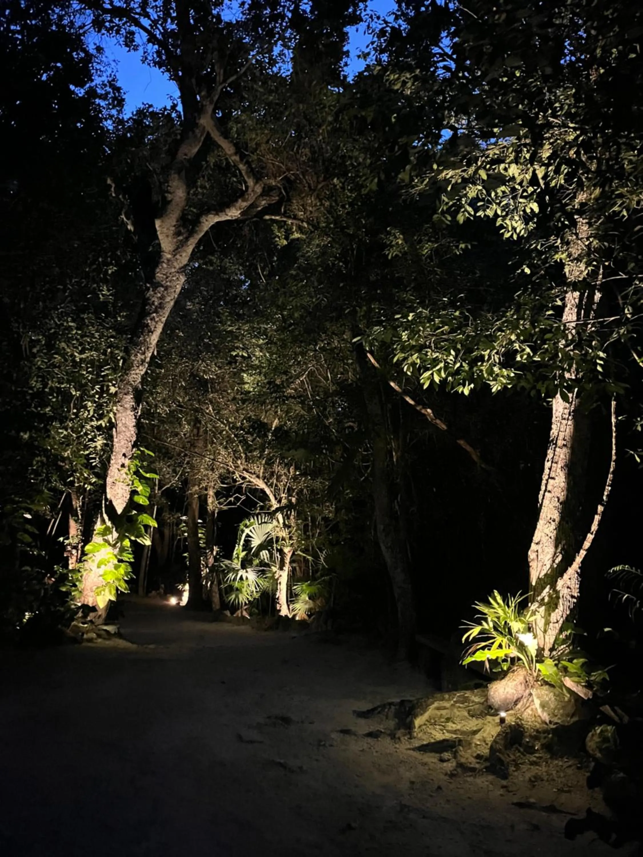 Night in Glamping Mama Loo mm