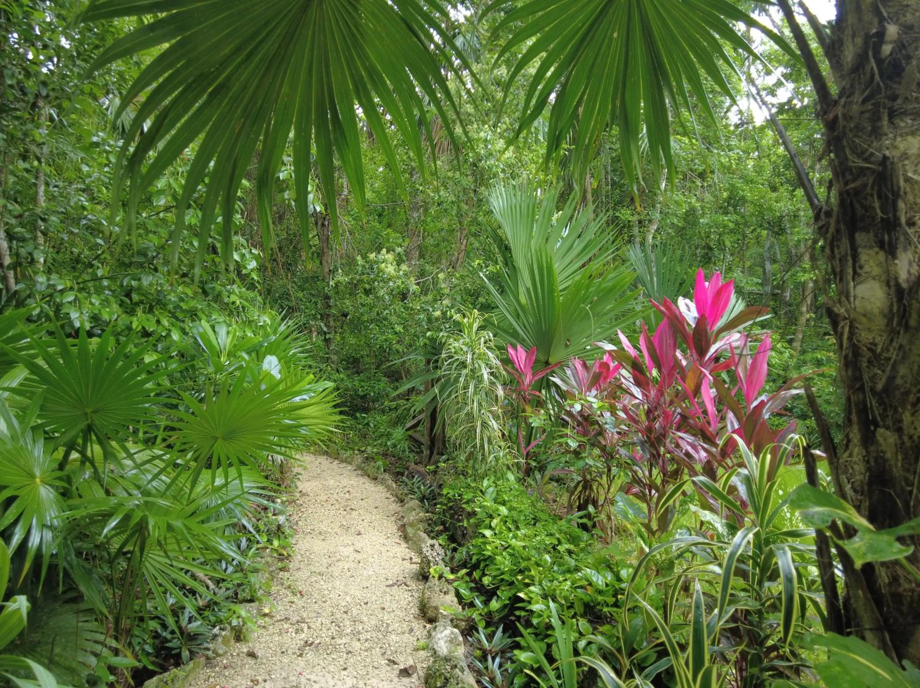 Natural landscape in Glamping Mama Loo mm