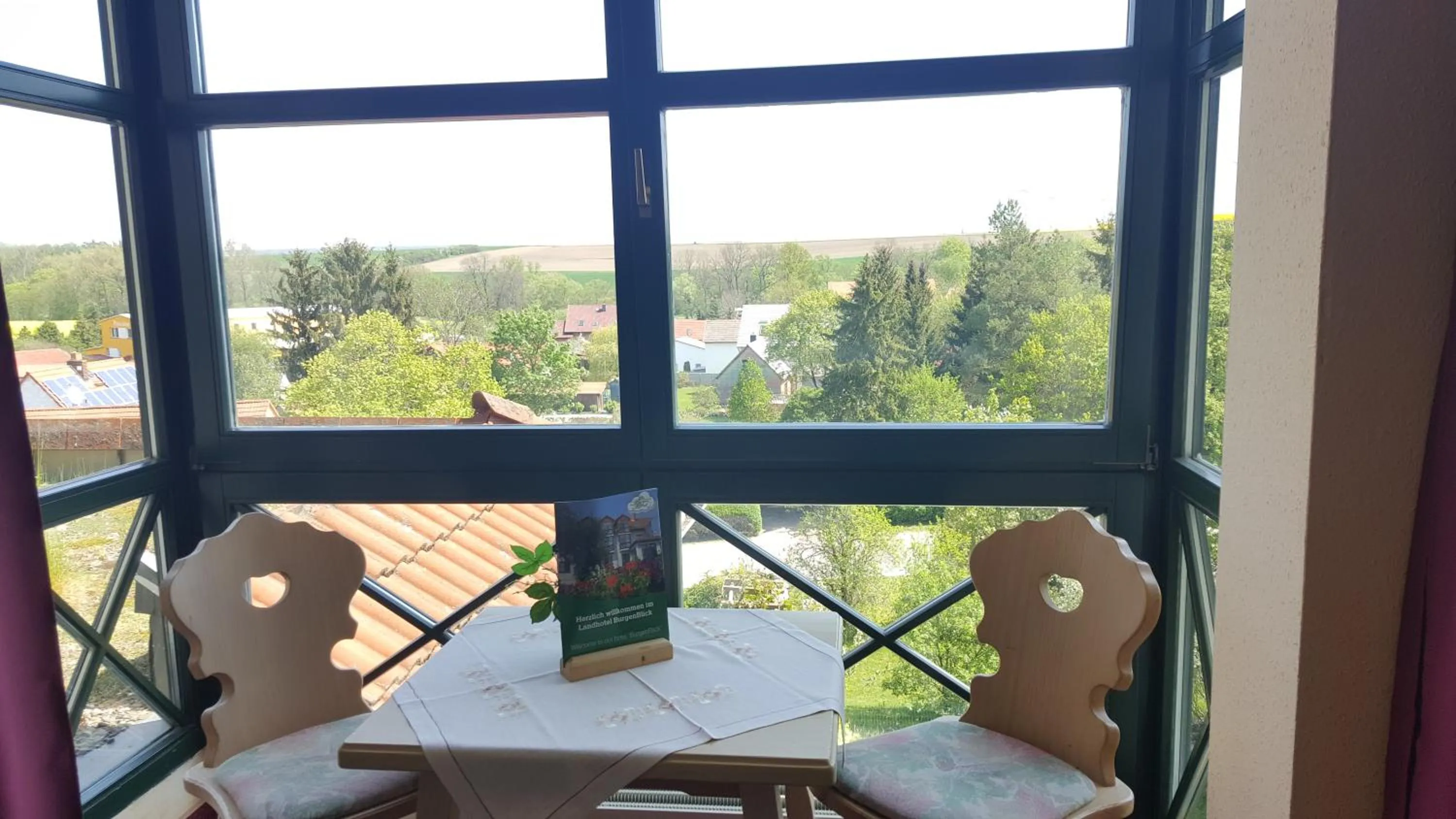 Other in Landhotel BurgenBlick Garni & Tagungshotel