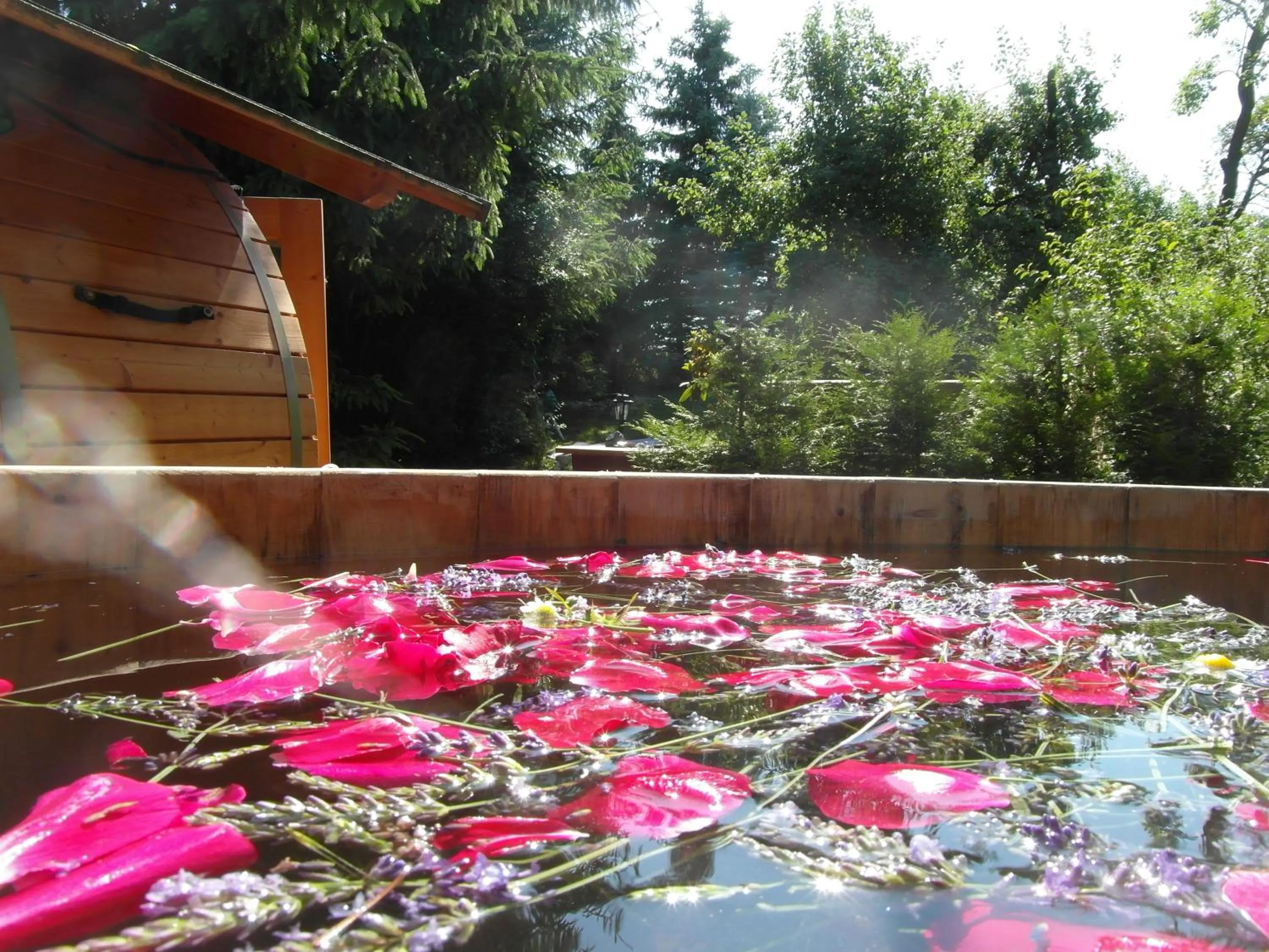 Natural landscape in Landhotel BurgenBlick Garni & Tagungshotel