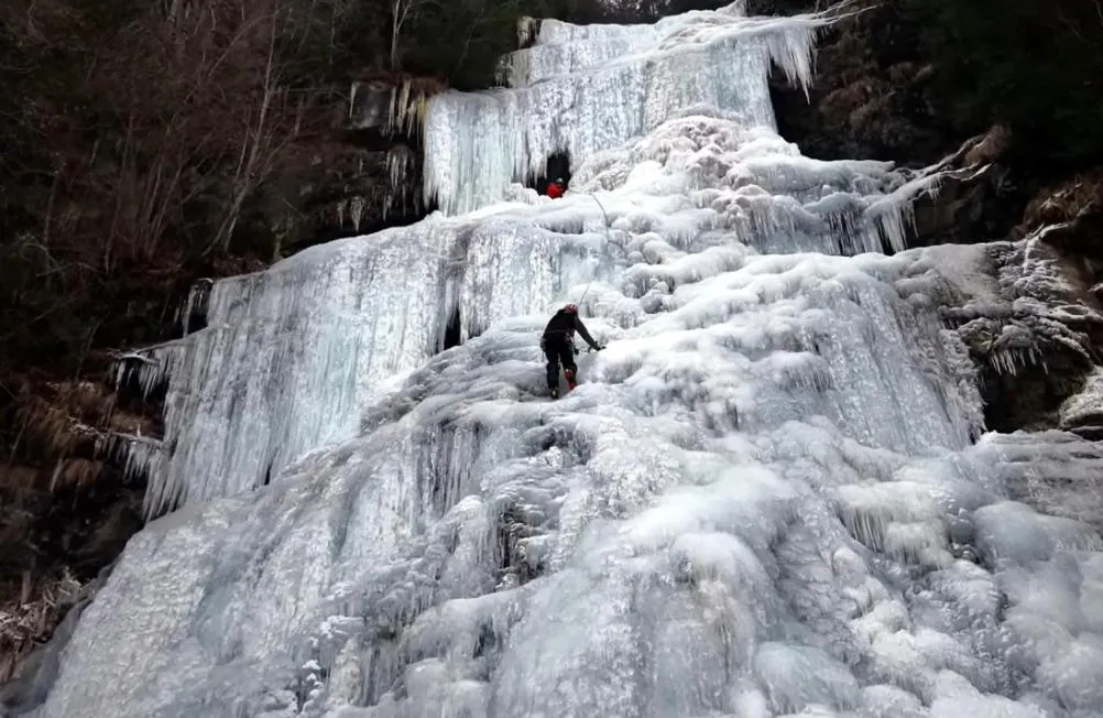 Restaurant Appartements Almdiele