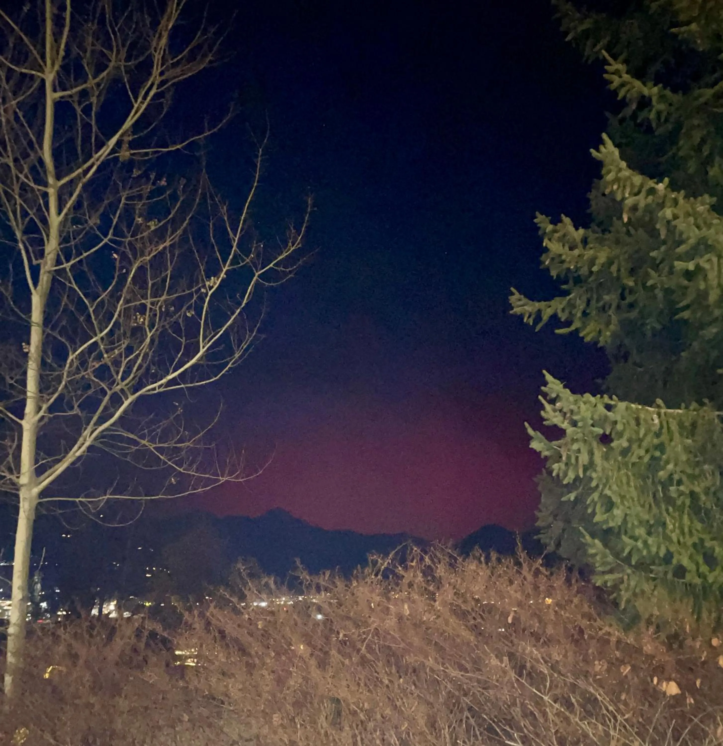 Area and facilities in Restaurant Appartements Almdiele