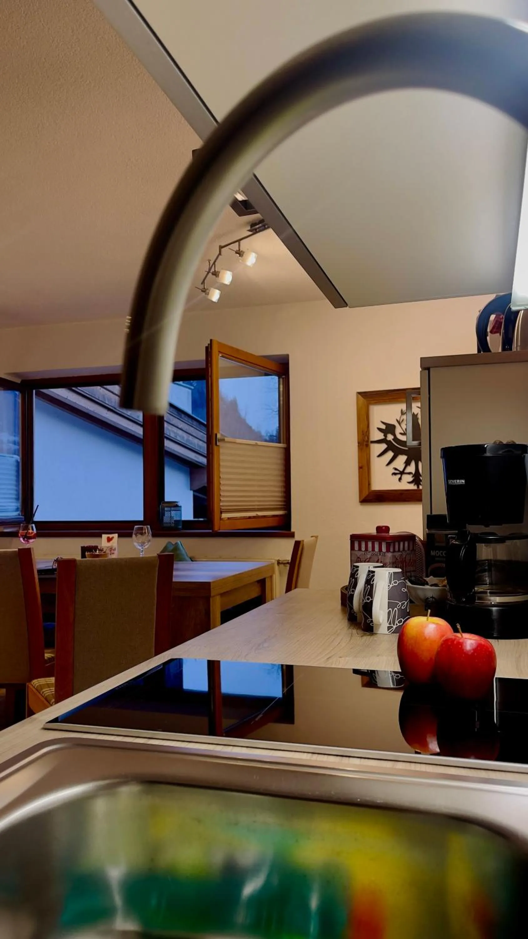 Kitchen or kitchenette in Restaurant Appartements Almdiele