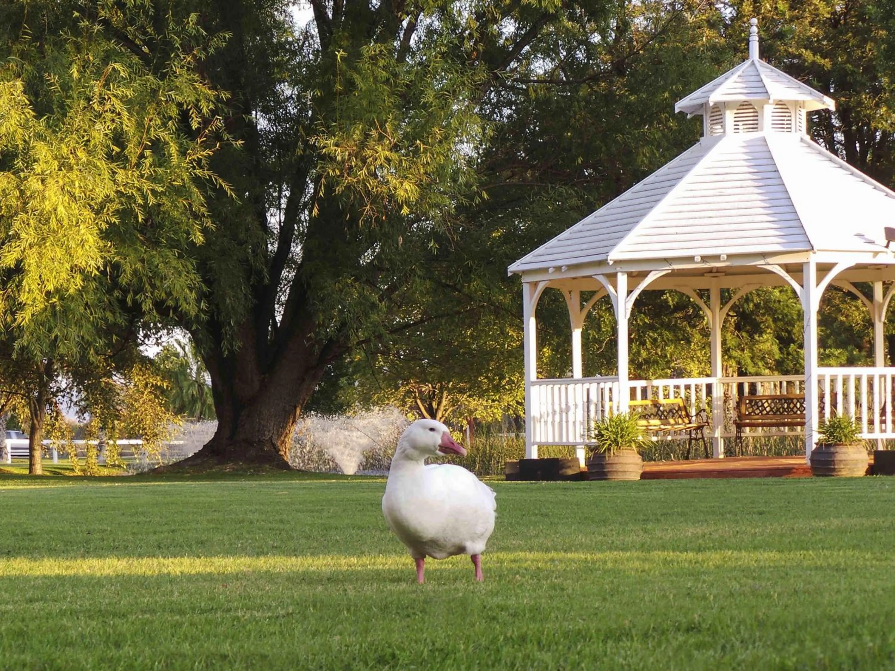 Other in Parklands Resort Mudgee