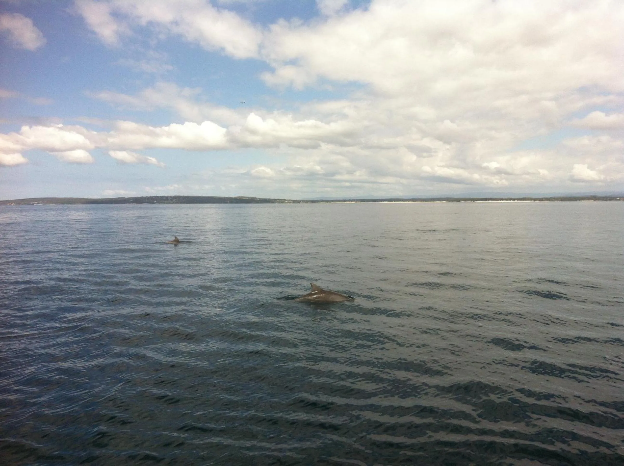 Natural landscape in Huskisson Beach Motel