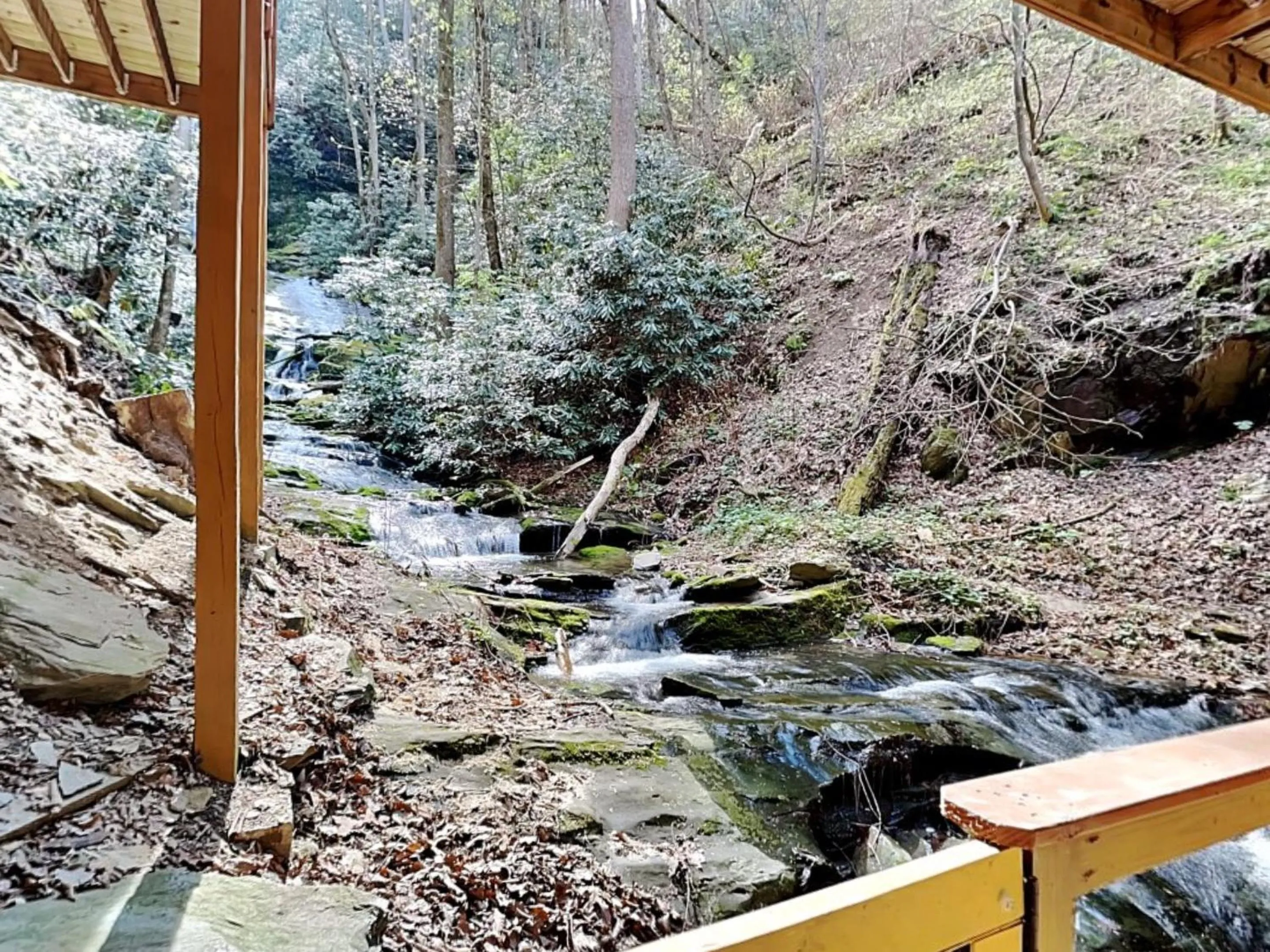 Black Bear Lodge