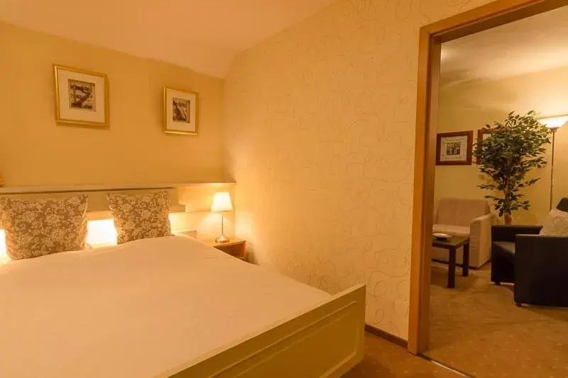 Double Room - single occupancy in Hotel Palatino Double Room - single occupancy in Hotel Palatino