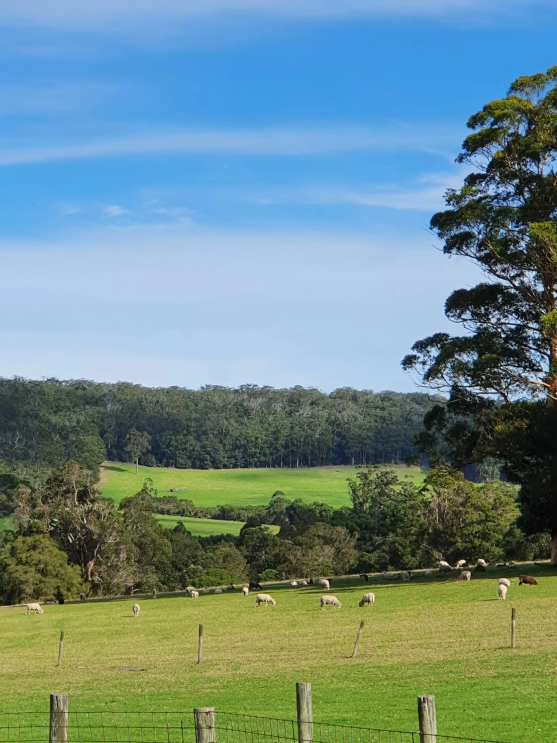 Little River Farm Cottages