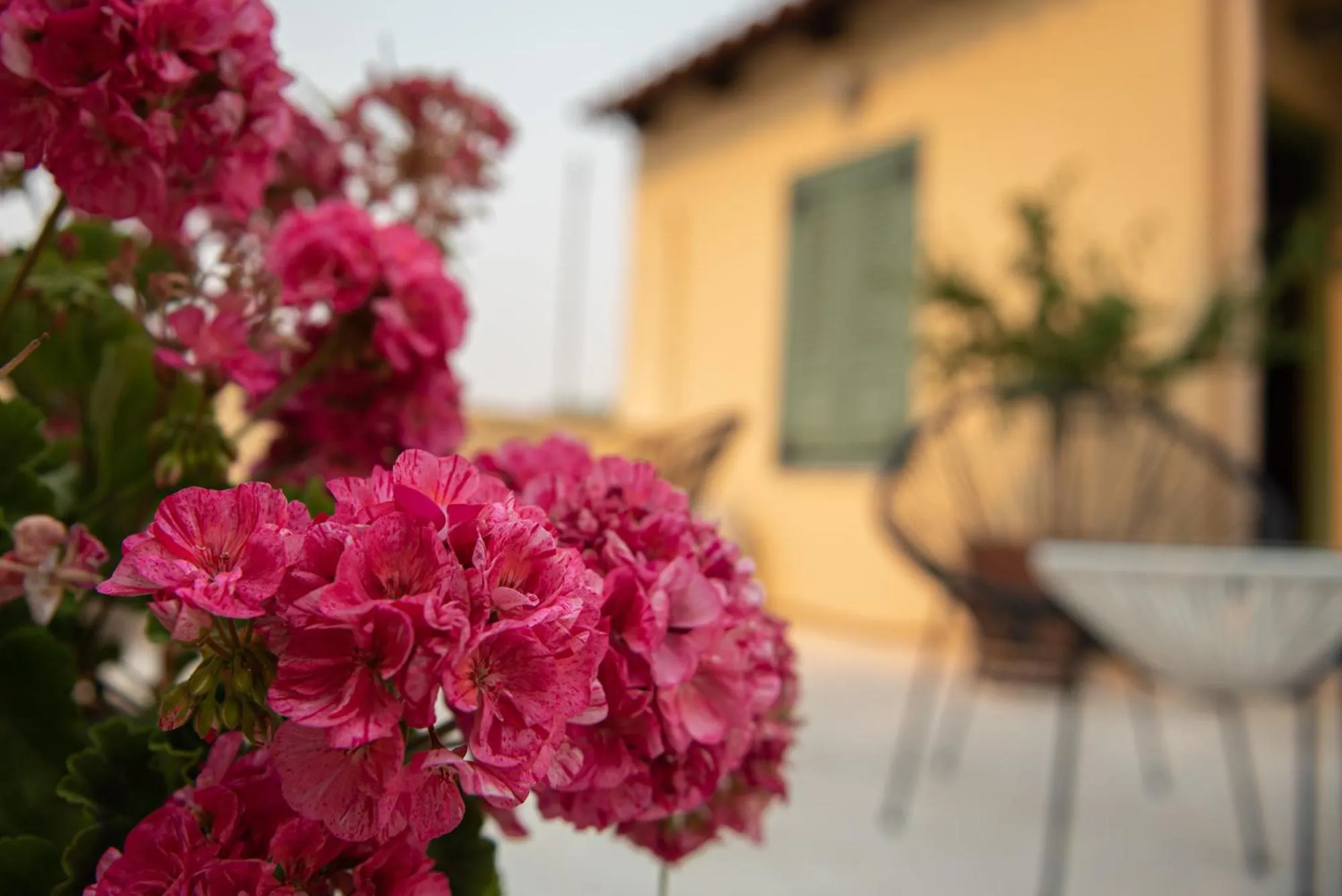 Property building in Beautiful City Suites