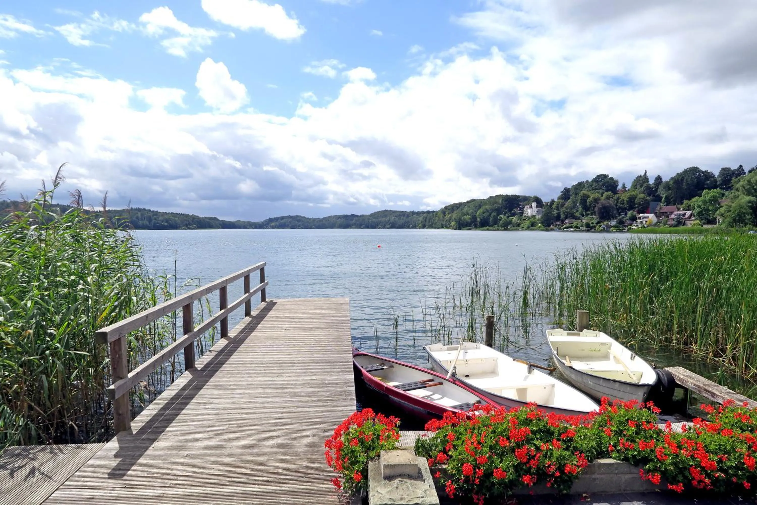 Natural landscape in Hotel Der Seehof