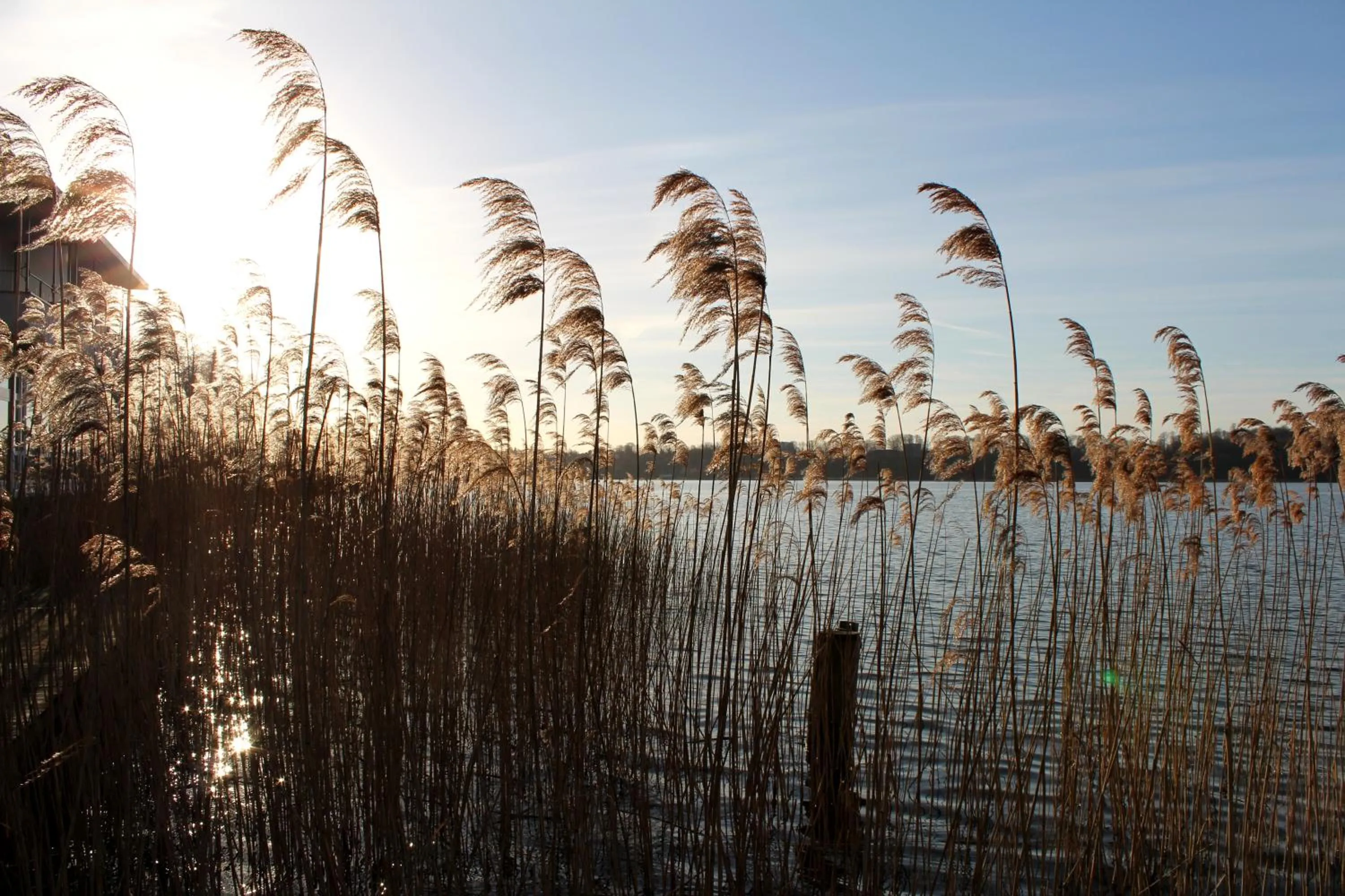 Spring in Hotel Der Seehof