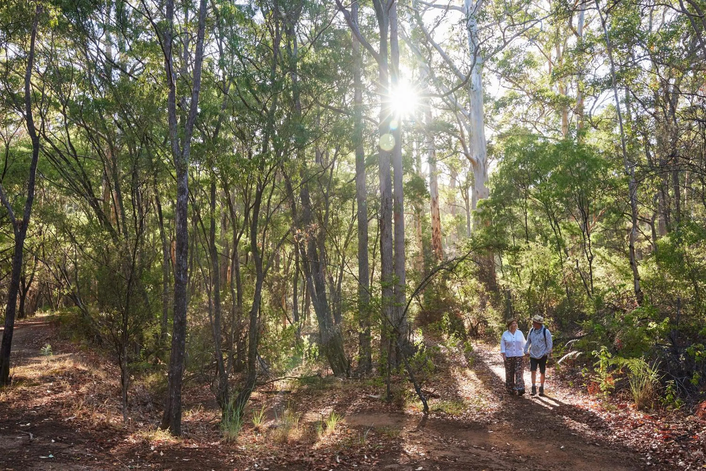 Natural landscape in RAC Margaret River Nature Park